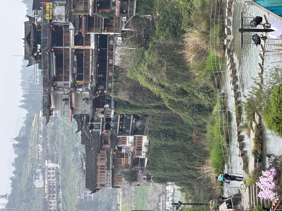 The image depicts a multi-tiered cityscape built into a steep, heavily vegetated cliff face in Furong, China, under an overcast sky. In the background, green terraced hills with scattered modern residential buildings and power lines rise. The midground features numerous traditional Chinese buildings with dark tiled roofs, upturned eaves, and wooden facades. These structures extend several stories, incorporating balconies with dark railings and often featuring red lanterns. Many balconies appear to be outdoor seating areas, with a visible sign on one upper building displaying Chinese characters and a phone number, indicating a restaurant. The cliff face supporting these buildings is densely covered in green vines and foliage. A river, featuring several white boats, is visible at the base of the cliff on the left. In the foreground, a shallow stream is traversed by a stepping stone path. A simple metal rope railing provides guidance along the path. Dense green reeds and grasses line the stream banks. On the left, stone steps lead down to the stream, accompanied by pink flowering bushes. A single adult, viewed from the back, stands on a stepping stone on the left side of the stream, carrying a small child in a light blue jacket on their shoulders. On the far right foreground, a metal pole with two black floodlights is visible, alongside a partial blue structure.