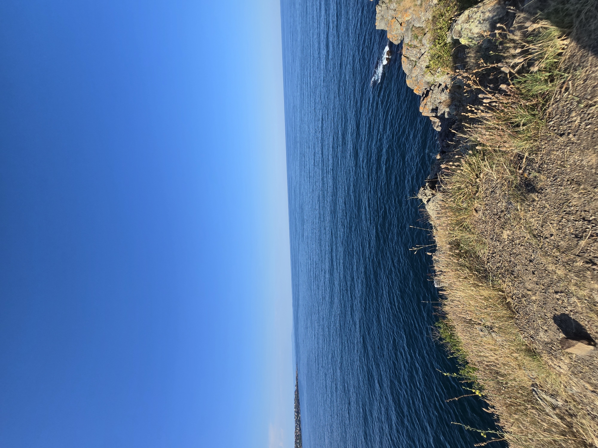 The image depicts a serene coastal landscape with a clear blue sky meeting a calm, deep blue sea. The foreground is dominated by a rocky cliff covered with dry, yellowish grass and sparse vegetation. The cliff edge drops steeply towards the water. In the distance, on the left side of the frame, a stretch of coastline with buildings, possibly part of the city of Sozopol, is visible. The sea extends to the horizon, with faint lines indicating gentle waves. The lighting suggests it is daytime, likely late morning or early afternoon, given the bright sky and shadows. There are no people or animals present in the scene. The overall impression is one of natural beauty and tranquility.