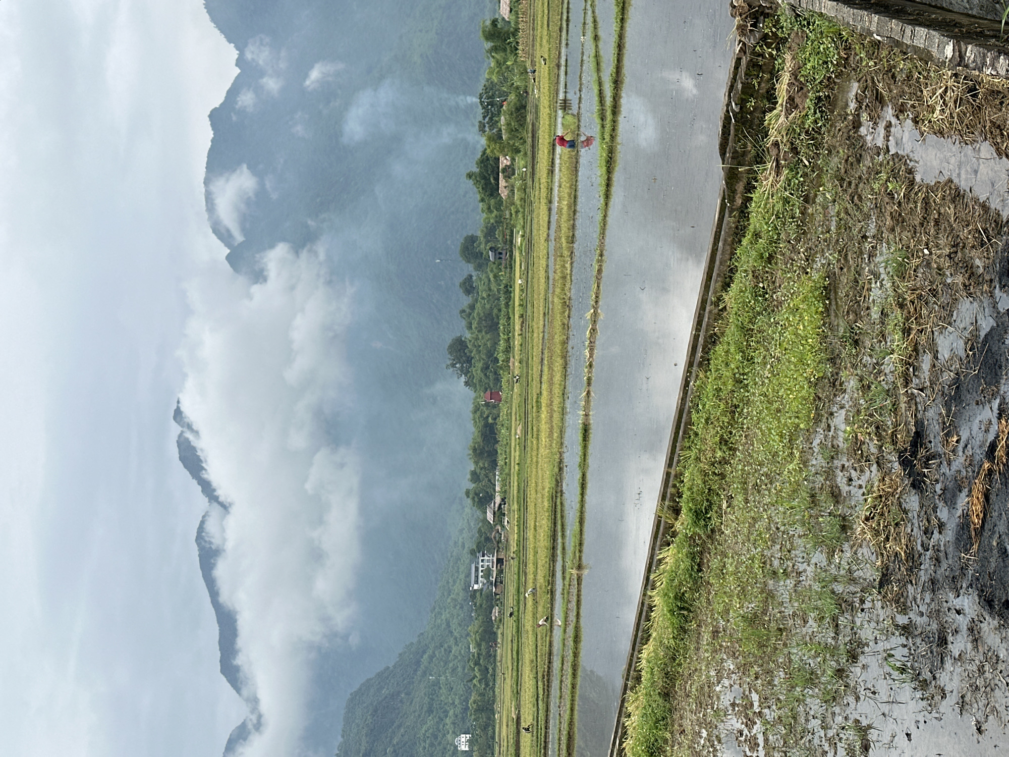 The image depicts a misty, overcast day in the rice paddies of Mai Chau, Vietnam. In the foreground, a flooded rice field is visible, with patches of green grass and muddy earth. Further back, rows of meticulously cultivated rice paddies stretch towards the horizon. Several farmers are actively working in the fields, their figures small against the vast landscape. Some are bent over, tending to the crops, while one individual in a red shirt is wading through the water. In the middle ground, a cluster of buildings, likely homes and small structures, are nestled amongst lush greenery. The background is dominated by towering mountains shrouded in thick mist, with the peaks intermittently emerging from the clouds. Wisps of smoke rise from what appears to be small fires in the distance, adding to the atmospheric quality of the scene. The overall impression is one of rural tranquility and the daily rhythm of agricultural life in a mountainous region.