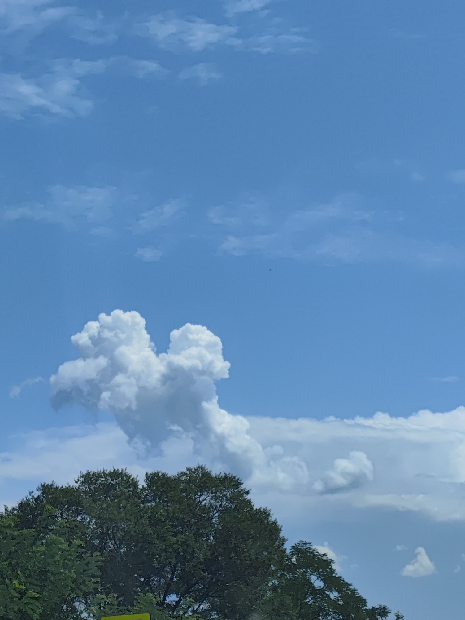 The image depicts a bright blue sky with scattered white clouds. A large, fluffy cumulus cloud formation is the focal point, appearing in the upper middle of the frame. This cloud has a unique shape that resembles a stylized dog or a mythical creature. Below the clouds, the dark green canopy of trees occupies the lower portion of the image, suggesting a natural or park-like setting. The overall lighting indicates a sunny day. There are no people or specific structures visible that would allow for pinpointing a location within Capriana, Moldova.