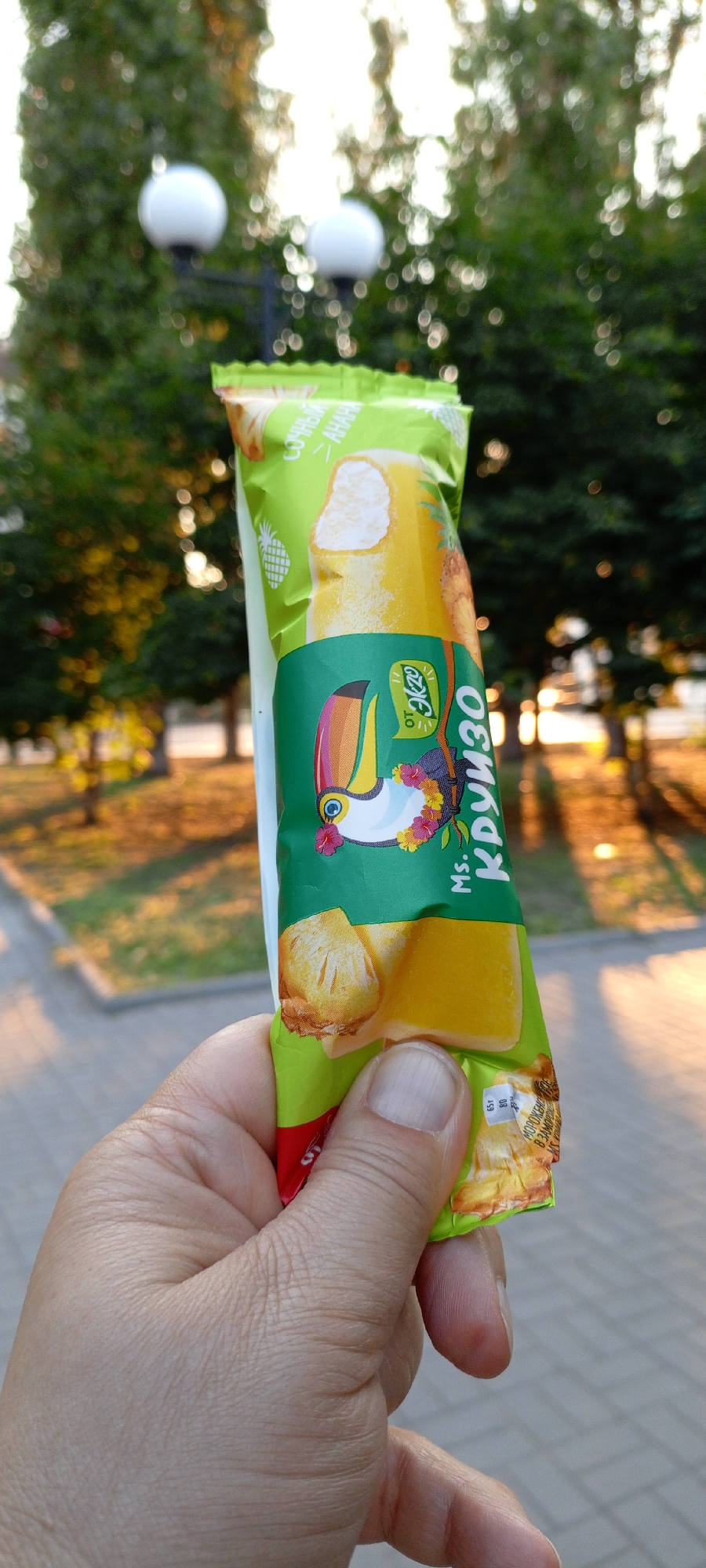 A person's hand holds a pineapple ice cream bar wrapped in bright green and yellow packaging. The packaging features an illustration of a toucan wearing a lei of flowers and a picture of pineapple chunks. Text on the packaging is visible in Cyrillic script. A portion of the ice cream bar is visible, appearing to be light yellow with white filling. The background is softly blurred, showing trees and two white globe lights on poles, suggesting an outdoor setting during the day. The sunlight casts long shadows, indicating it might be late afternoon or early morning. The scene is likely in Kirsanov, Russia, as provided.