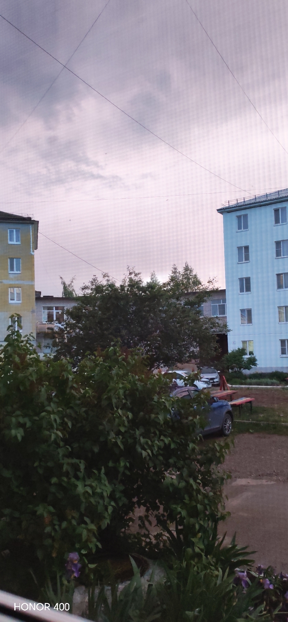 This image captures an outdoor scene of a residential area, likely in Noviy, Russia, during twilight or a heavily overcast day. The soft, muted light gives the sky a pinkish-grey hue, with several thin electrical or communication wires crisscrossing overhead. Small, dark specks, possibly birds or insects, are visible against the sky.
In the foreground, dense green bushes dominate the lower half of the frame, with some purple flowers (likely irises) and other greenery visible in the bottom right corner. Behind these bushes, a multi-story, yellowish-beige apartment building stands on the left, featuring multiple rectangular white-framed windows. On the right, a light blue apartment building, similar in style and height, is visible with matching windows.
Between these two primary buildings and partially obscured by trees, other, possibly lower-rise, greyish-white buildings can be seen. A large, leafy tree stands prominently in the midground. Several parked cars are visible: a blue SUV or crossover partially hidden by the bushes on the right, and at least two lighter-colored cars further back in what appears to be a courtyard or parking area. A reddish-brown wooden picnic table or bench set is also present in the courtyard.
The scene is static, depicting an everyday residential view without visible human activity. The overall impression is one of quietude. In the bottom left corner, the text "HONOR 400" is visible, indicating the device used to capture the photograph.