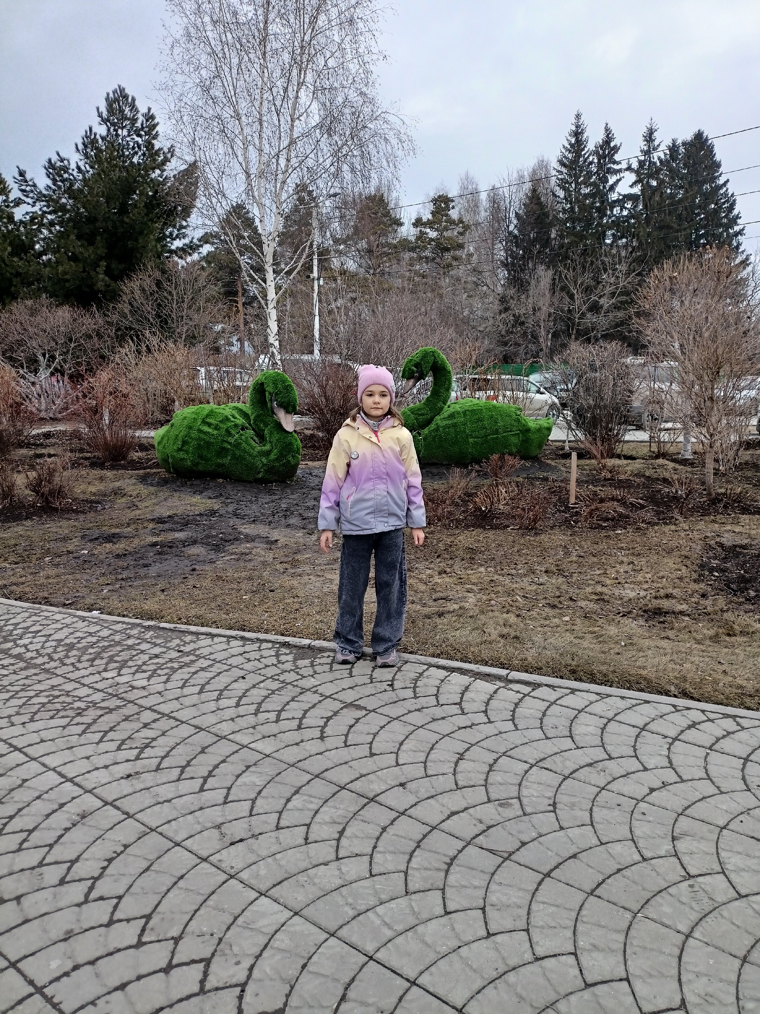 A full outdoor shot shows a young girl standing on a gray, fan-patterned concrete path in front of two green swan-shaped topiary bushes in Novosibirsk, Russia. The girl wears a pink beanie, a faded rainbow jacket, and dark denim jeans. Behind her are the topiary swans surrounded by dormant flowerbeds. Background elements include evergreen trees and bare birch trees under a dull, overcast sky.