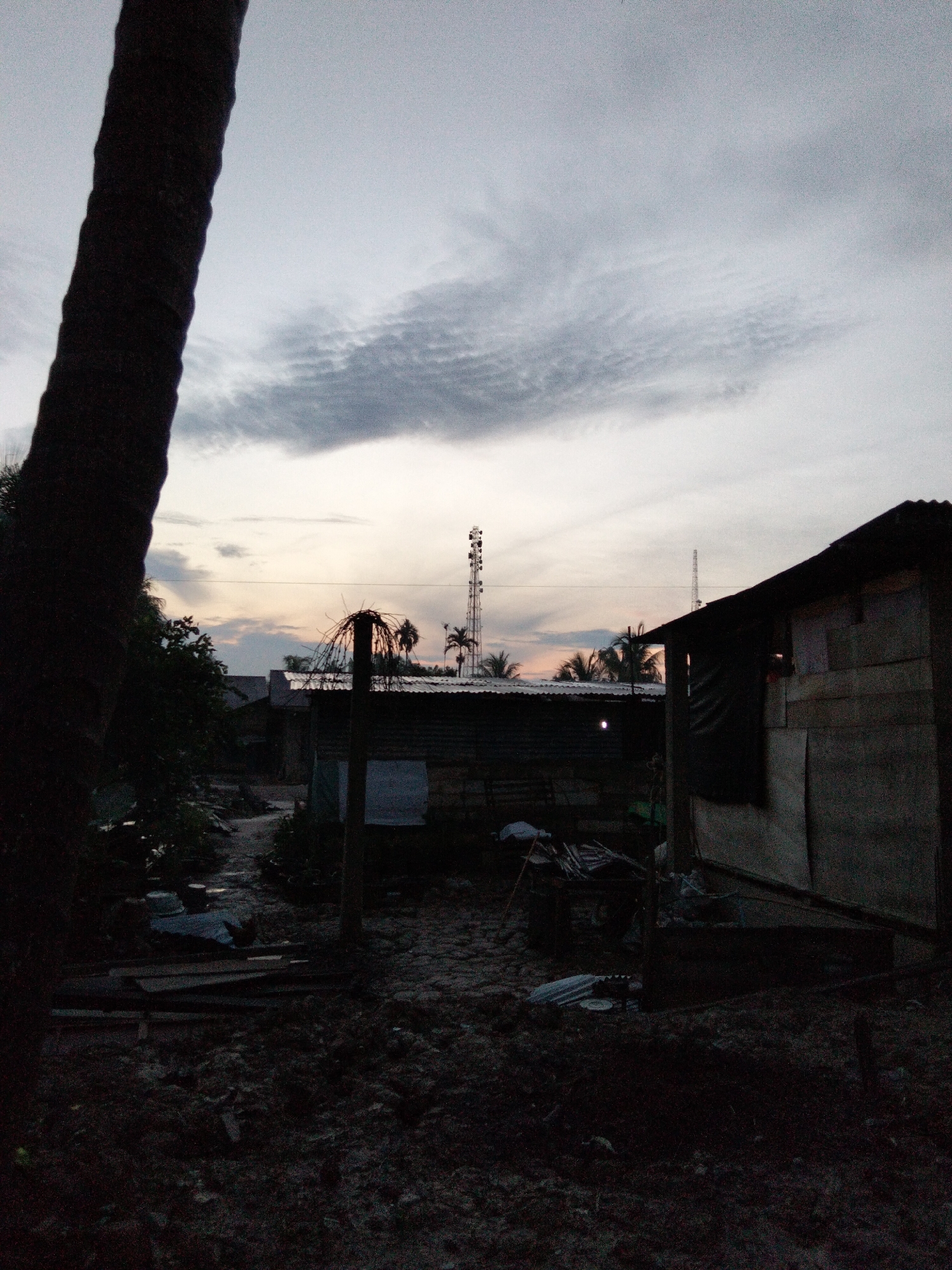 The image depicts a rustic outdoor scene at dusk in the city of Benuaraja, Indonesia. The foreground is dominated by the dark, textured trunk of a large tree on the left, casting a shadow across the scene. The ground appears to be unpaved and cluttered with debris, including what looks like discarded wood and dirt.
In the middle ground, several modest structures are visible. On the right, a building with a corrugated metal roof and walls constructed from rough materials, possibly wood or concrete, stands prominently. A dark cloth hangs in front of an opening in this structure. To the left of this, a narrow path or alleyway leads further into the scene, flanked by more vegetation and buildings with similar roofing. A small, bare-branched structure or post stands near the center. In the background, two tall telecommunications towers are silhouetted against the sky, with palm trees visible between them.
The sky is a dusky gray, with streaks of lighter clouds suggesting the transition from day to night. The overall impression is one of a humble, rural or semi-urban environment in Indonesia, characterized by its simple dwellings and the presence of modern infrastructure like the communication towers. There are no visible people in the image.