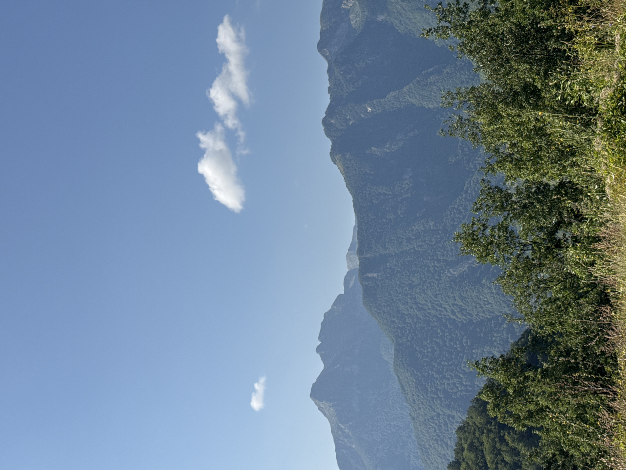 The image depicts a serene mountain landscape in Dragovića Polje, Montenegro. The foreground is filled with lush green trees and vegetation, with tall grasses reaching upwards. Behind the trees, a series of rolling, tree-covered mountains recede into the distance. The mountains are layered, with the closest ones being darker green and the ones further away appearing in shades of blue-grey due to atmospheric perspective. The sky above is a clear, bright blue with a few scattered white clouds. There are no people or man-made structures visible in the image. The overall scene conveys a sense of natural beauty and tranquility.