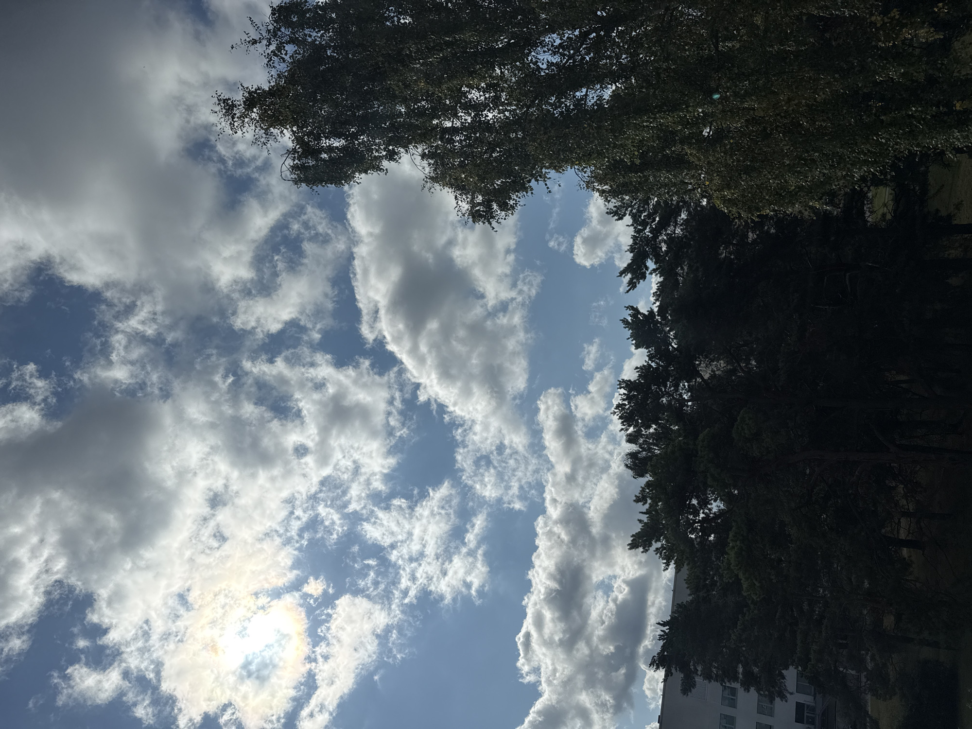 The image shows a view from a residential building in Tallinn, Estonia, looking up at a partly cloudy sky. The sun is visible through a break in the clouds on the left side of the frame, creating a halo effect. In the foreground, the tops of several trees are visible, including a tall, leafy tree on the right and darker, denser trees on the left. A portion of a white building with multiple windows is visible behind the trees on the left. The sky is a mix of blue and white, with various cloud formations. The scene appears to be a daytime outdoor shot, possibly from a balcony or window.