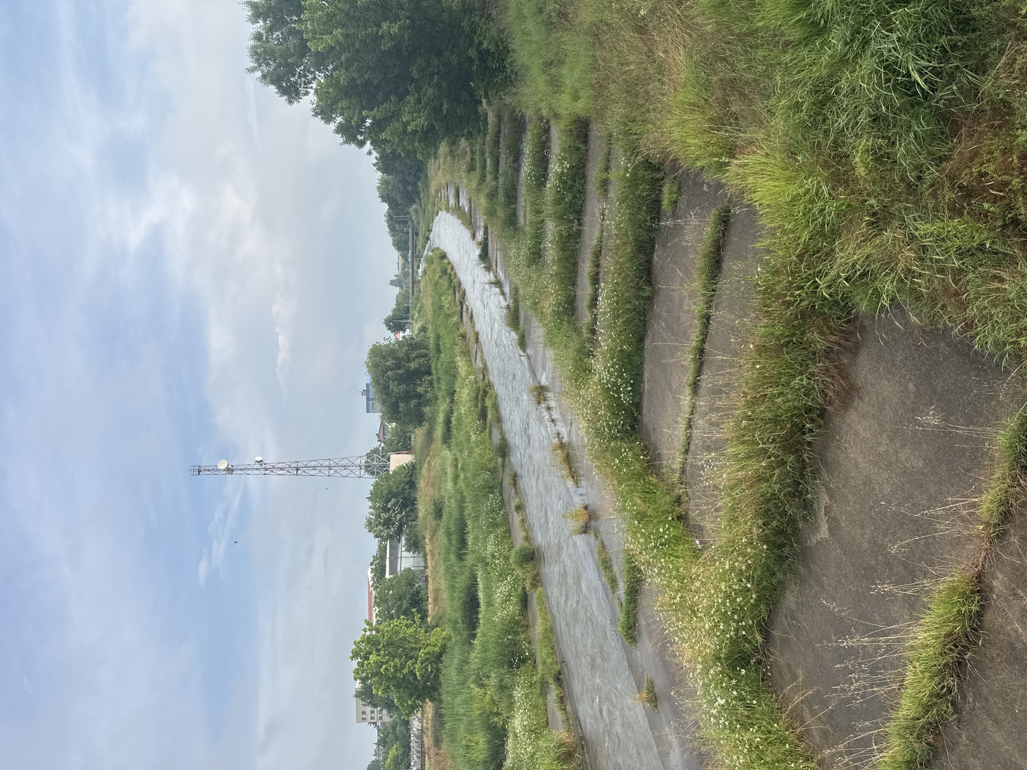 The image displays a concrete canal or riverbed stretching into the distance, with water flowing along its length. The banks of the canal are structured with multiple concrete steps or terraces, largely covered with lush green grass and small white wildflowers, indicating natural overgrowth. Trees line both sides of the canal, particularly dense on the left, and extend into the background, partially obscuring distant buildings.
A prominent feature in the mid-ground on the left is a tall, metallic telecommunications tower, equipped with several antennas and dishes, standing against the bright, partly cloudy sky. Further in the background, a few indistinct buildings are visible, suggesting an urban or semi-urban environment. Small dark specks, likely birds, are visible in the sky near the tower.
The scene is set during daytime, under a light blue sky with scattered white clouds, implying a relatively bright but overcast or diffused light condition. No specific human activity or individuals are present. The overall impression is one of nature slowly reclaiming man-made infrastructure in a quiet setting. The location of the scene is Radnevo, Bulgaria. No visible text is present in the image.