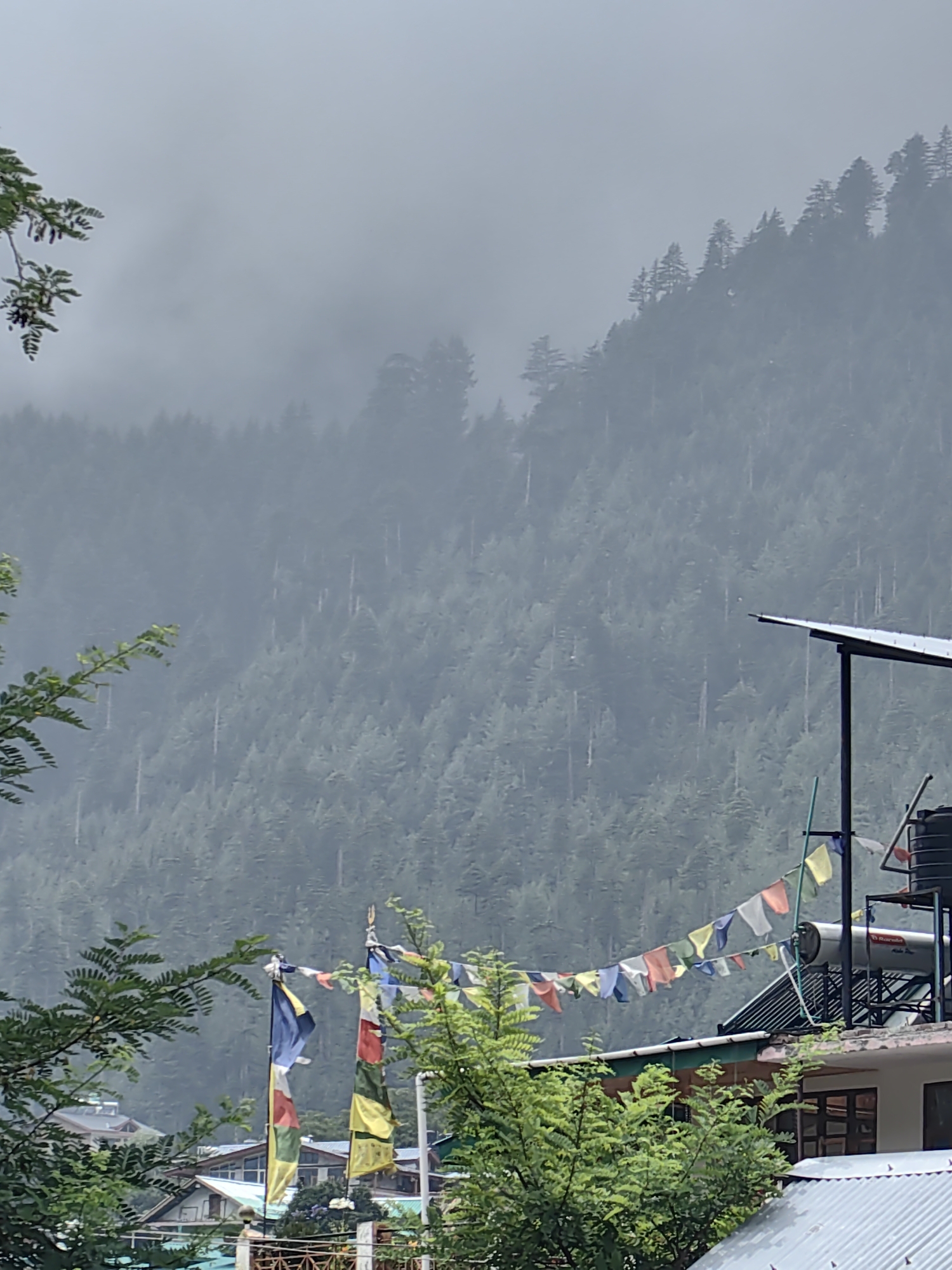 The image depicts a misty mountain landscape in Manali, India. In the foreground, prayer flags are strung across a residential area, with buildings featuring sloped roofs and water heaters visible. Green trees and foliage frame the scene. In the background, a dense forest of evergreen trees covers a mountainside that recedes into a hazy, fog-covered sky. The overall atmosphere is serene and slightly melancholic due to the pervasive mist. No people are visible in the image.