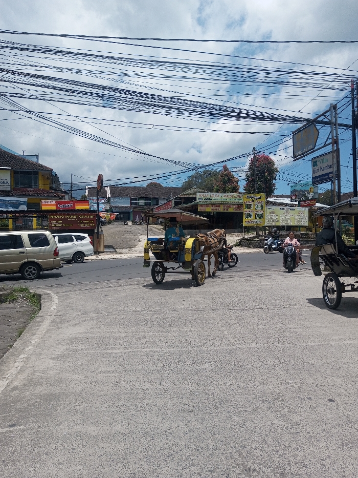 The image depicts an active street scene. While the specific location of Bagochen Boolingpang Ueling, Bhutan, cannot be definitively confirmed by visual evidence, and instead, signage with Indonesian text is prominently displayed, the scene captures a junction or thoroughfare under a bright, partly cloudy sky.
In the foreground, a dry, light gray asphalt or concrete road surface dominates. On the far left, a light gold multi-purpose vehicle (MPV) is positioned, followed closely by a white car. Adjacent to these, a yellow and blue horse-drawn carriage (delman/andong) with a fabric canopy is central to the frame, pulled by a light brown horse. A person is seated inside the carriage, appearing to drive or operate it. Directly behind this carriage, a person is riding a red motorcycle. Approaching from the mid-right, a person on a light pink/purple scooter is visible. On the far right edge of the frame, the front wheels and part of another dark-colored horse-drawn carriage are discernible.
The background consists of a collection of single and two-story commercial buildings lining the street. Numerous advertisements and business signs are affixed to these structures, featuring text predominantly in Indonesian, including "PROMO PAKET GRATIS" (Free Package Promo), "Lazartte," "Raja Ulek - Raja Laut," and "Villa Giri Kembar." A utility pole supporting a dense array of black electrical and communication wires is prominent on the right side, with the wires extending across the entire upper segment of the sky. Scattered trees, including one with distinctive reddish foliage, are visible among and behind the buildings. The scene suggests a busy urban or semi-urban environment where traditional horse-drawn transport coexists with motorized vehicles.