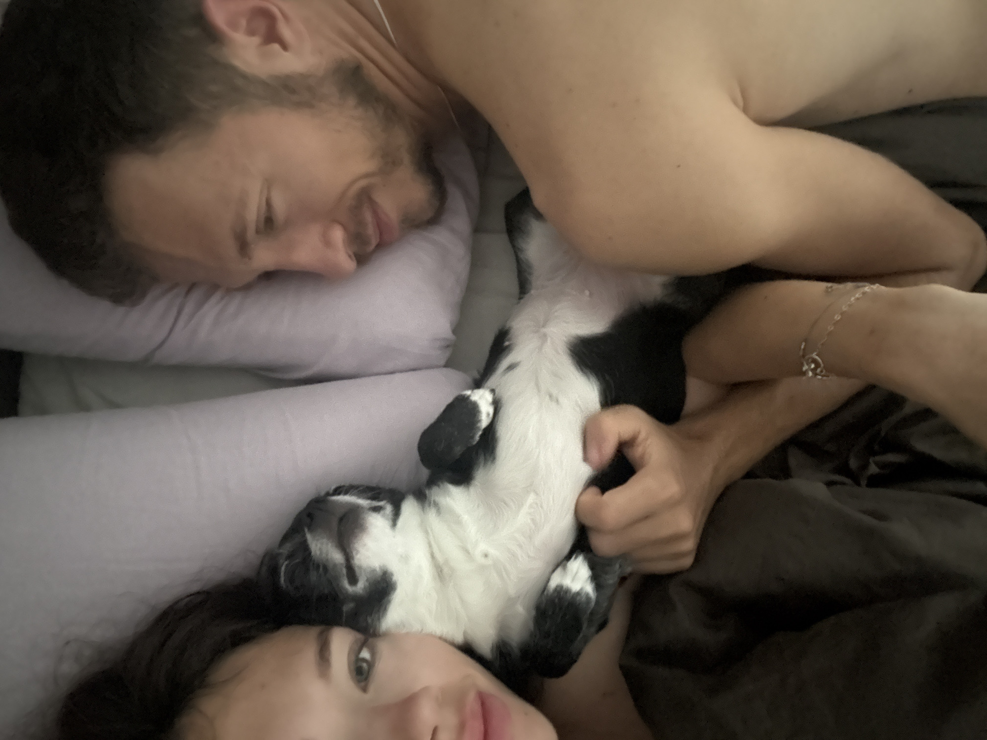 A man and a woman are lying in bed with a black and white dog. The man is on his side, looking down at the dog. The woman is lying on her back, with the dog on her chest. The man has a bracelet on his wrist. The location is not identifiable as being in Tel-Aviv, Israel.