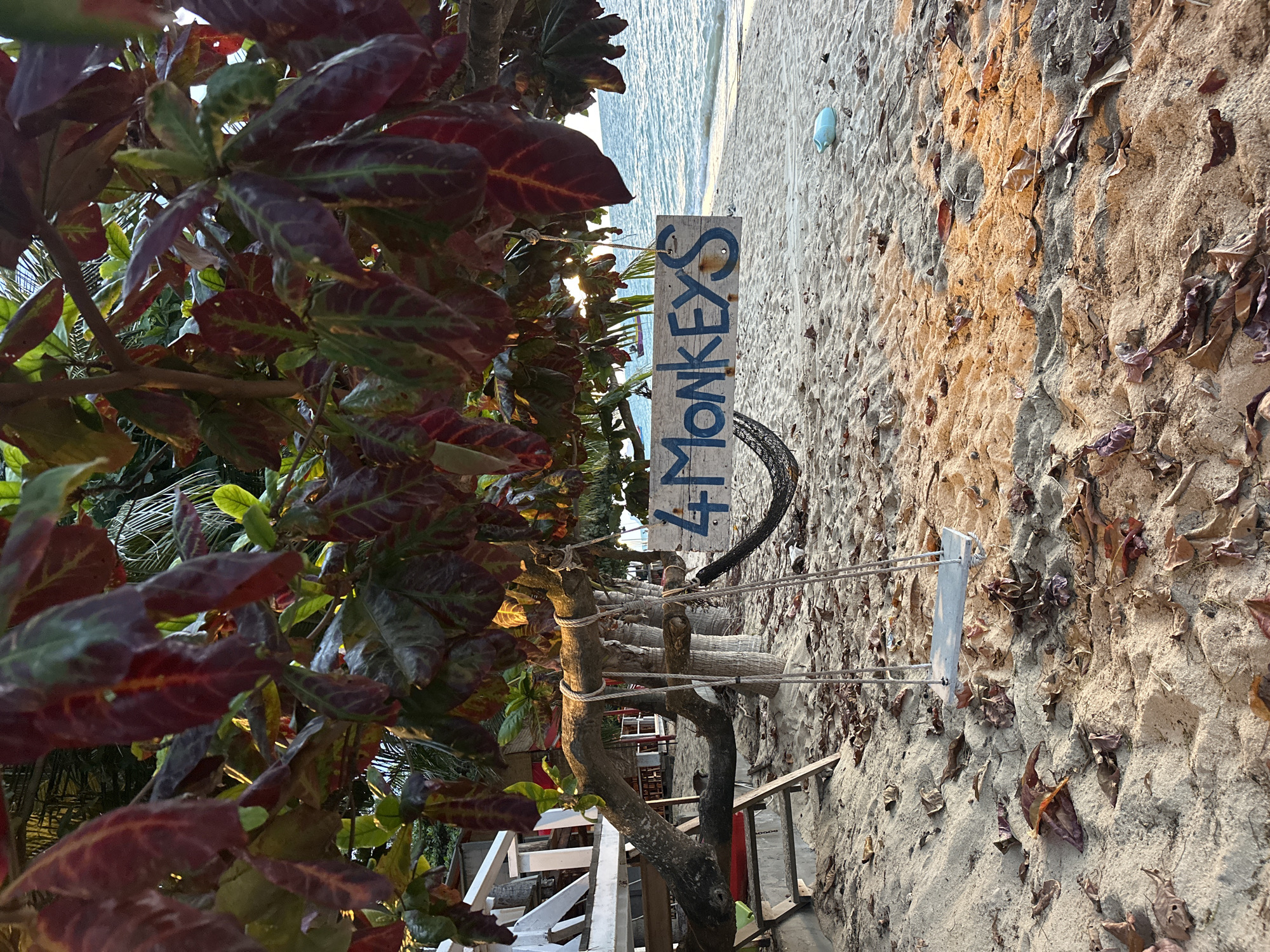 This media file captures a beachside scene in Baan Thong Po, Thailand. The foreground is dominated by lush green and deep red foliage, suggesting a tropical environment. To the right, a sandy beach stretches towards the ocean, with calm, light blue water visible in the background. The sand is marked by scattered dry leaves and what appears to be a discarded light blue plastic object.
A prominent feature is a weathered wooden sign with the text "4 MONKEYS" painted in dark blue capital letters. The sign is attached to a rustic wooden structure, reinforced with ropes, which seems to demarcate an area or path. The orientation of the image is such that the beach and sign are viewed from the perspective of someone looking downwards and to the right.
The lighting suggests it might be late afternoon or early morning, with the sun casting a warm glow and creating some lens flare through the leaves. The overall mood is relaxed and serene, characteristic of a beach destination. The presence of the sign indicates a named establishment or attraction, adding a layer of human activity to the natural landscape.