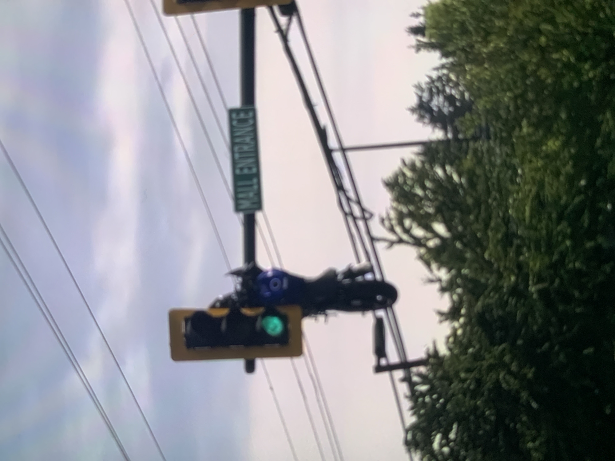 A traffic light with a green light illuminated hangs above a street, partially obscured by lush green trees. A sign reading "MALL ENTRANCE" is visible on a horizontal bar extending from the traffic light pole. A dark-colored scooter is attached to the traffic light, its front wheel dangling downwards. The sky above is overcast with a pale, muted color palette. The scene appears to be an urban setting, possibly near a shopping mall, with power lines crisscrossing the sky.
