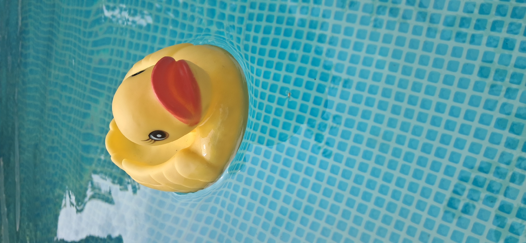 A yellow rubber duck toy floats in a swimming pool. The pool water is a bright blue and appears to have a checkered pattern on the bottom. The duck is positioned in the center of the frame, facing towards the viewer with its beak slightly open. The duck's eyes are black with a touch of white, and it has painted eyelashes. Its beak is orange and red. The water around the duck is rippled, and reflections of the sky and possibly surrounding objects are visible on the surface. The image was taken in Kryvyi Rih, Ukraine.