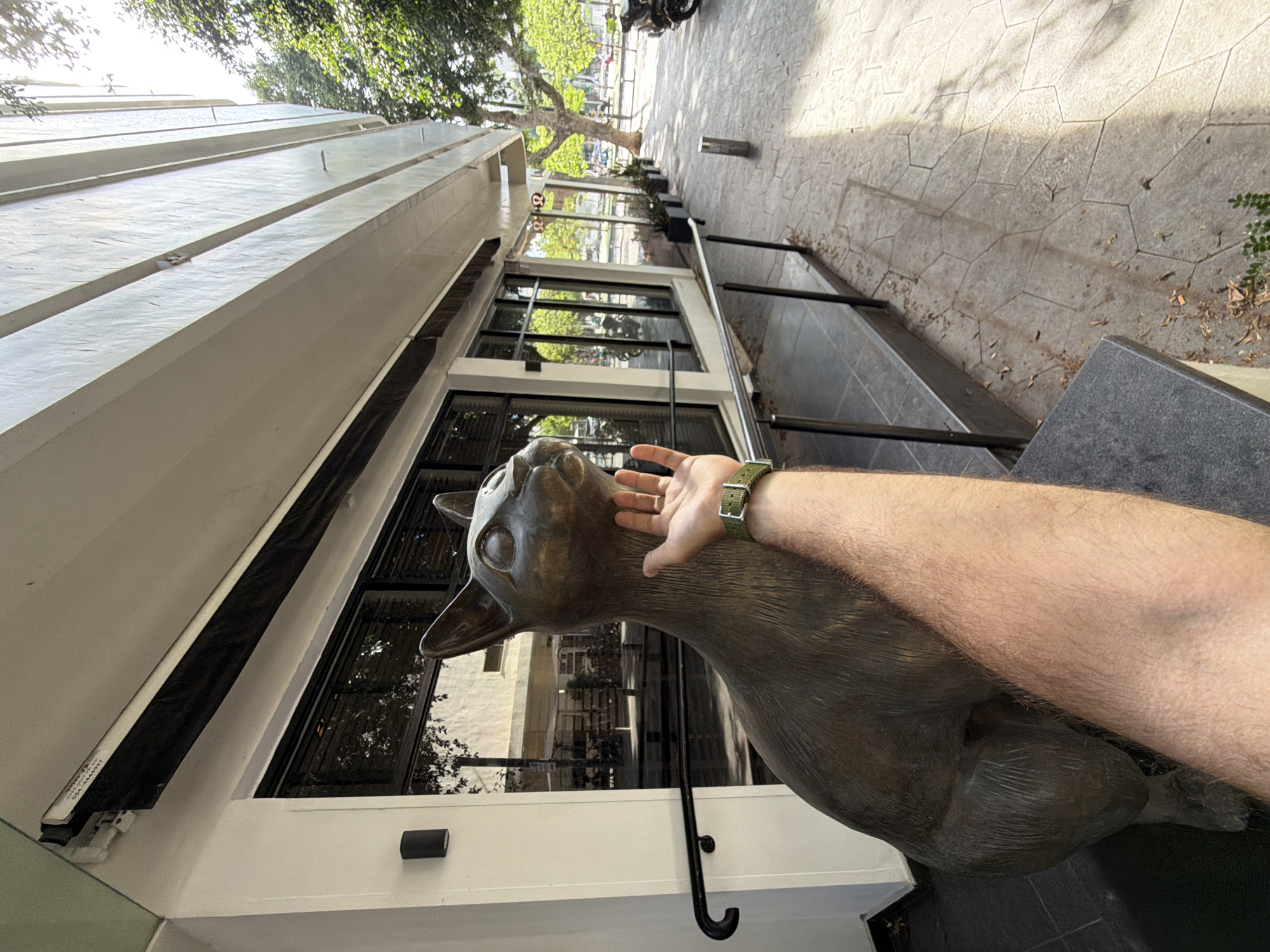 A bronze statue of a cat stands outside a building in Tel-Aviv, Israel. A person is touching the cat's head with their right hand, which is adorned with a green watch. The building behind the statue features large windows reflecting the surrounding cityscape. The street and sidewalk are visible in the background.