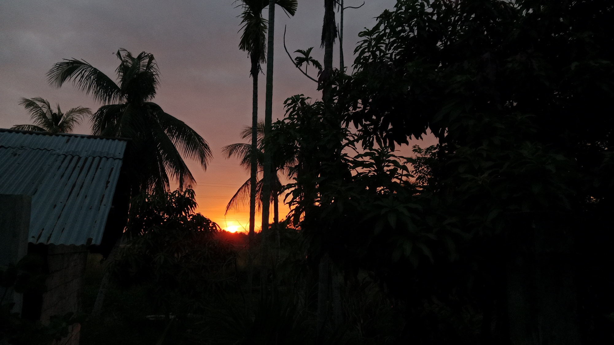 The image depicts a sunset scene in Lhokseumawe, Indonesia, with silhouettes of palm trees and lush foliage against a dusky sky. The sky is a gradient of deep gray at the top, transitioning to shades of orange and pink closer to the horizon, where the sun is setting. In the foreground and mid-ground, the dark shapes of trees and palm fronds obscure much of the detail, creating a dramatic, silhouetted effect. To the left of the frame, a corrugated metal roof of a building is visible, suggesting a rural or semi-urban setting. The overall atmosphere is serene and tranquil, characteristic of a tropical evening.