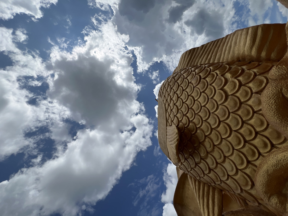 A low-angle photograph captures a large, golden-hued, scaled sculpture positioned against a bright blue sky filled with numerous white cumulus clouds in Đăk Mar, Vietnam. The sculpture occupies the lower half of the frame, presenting a detailed surface of convex, overlapping scales. A dorsal or pectoral fin-like structure is visible on the upper left side of the sculpture, with additional ribbed or pleated textures present on the far right, suggesting other body parts. No individuals or discernible actions are present in the scene.