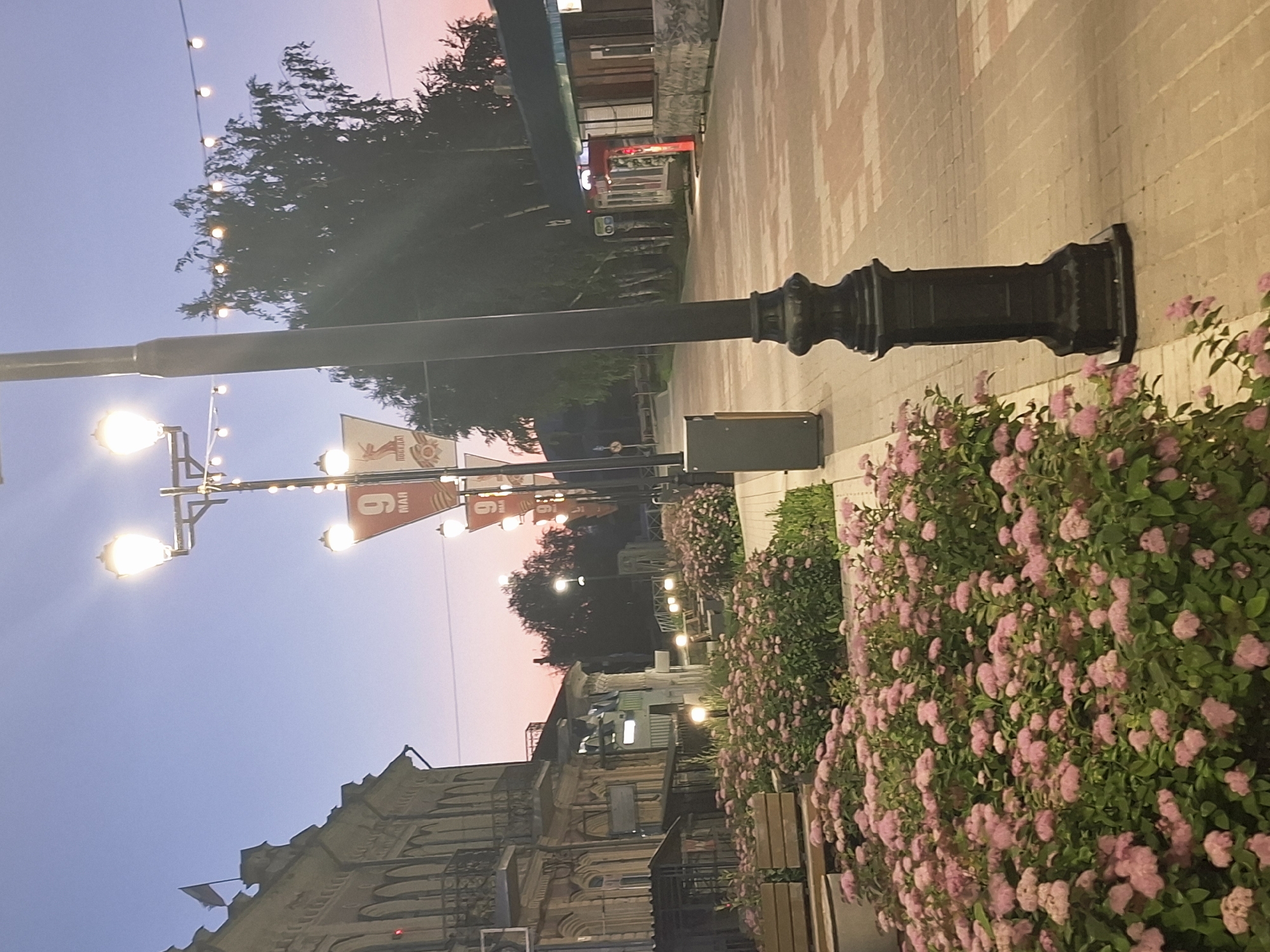 This media file captures a street scene in Kungur, Russia, during twilight. The image is oriented vertically. In the foreground, a dense bush with numerous small pink flowers lines a paved walkway. A black, ornate lamppost stands near the walkway. Further into the scene, string lights with glowing bulbs are visible, strung across the street, some attached to poles. One lamppost has multiple lights and decorative elements.
In the background, a building with intricate architectural details, likely an older structure, is partially visible on the left. On the right, another building with a patterned brick facade and awnings suggests shops or businesses. Trees with dark foliage are present, and the sky exhibits a gradient of soft blues and pinks, indicative of sunset or early dusk. The overall atmosphere is calm and serene.
Notable details include the time of day, with the sky transitioning from day to night. The lighting suggests it is evening, with artificial lights illuminating the street. There are flags or banners visible, one of which displays the number "9" and text in Cyrillic script, which likely reads "МАЙ" (May), potentially indicating a connection to Victory Day celebrations in Russia. The presence of flowers and the lamppost contribute to a pleasant urban environment.