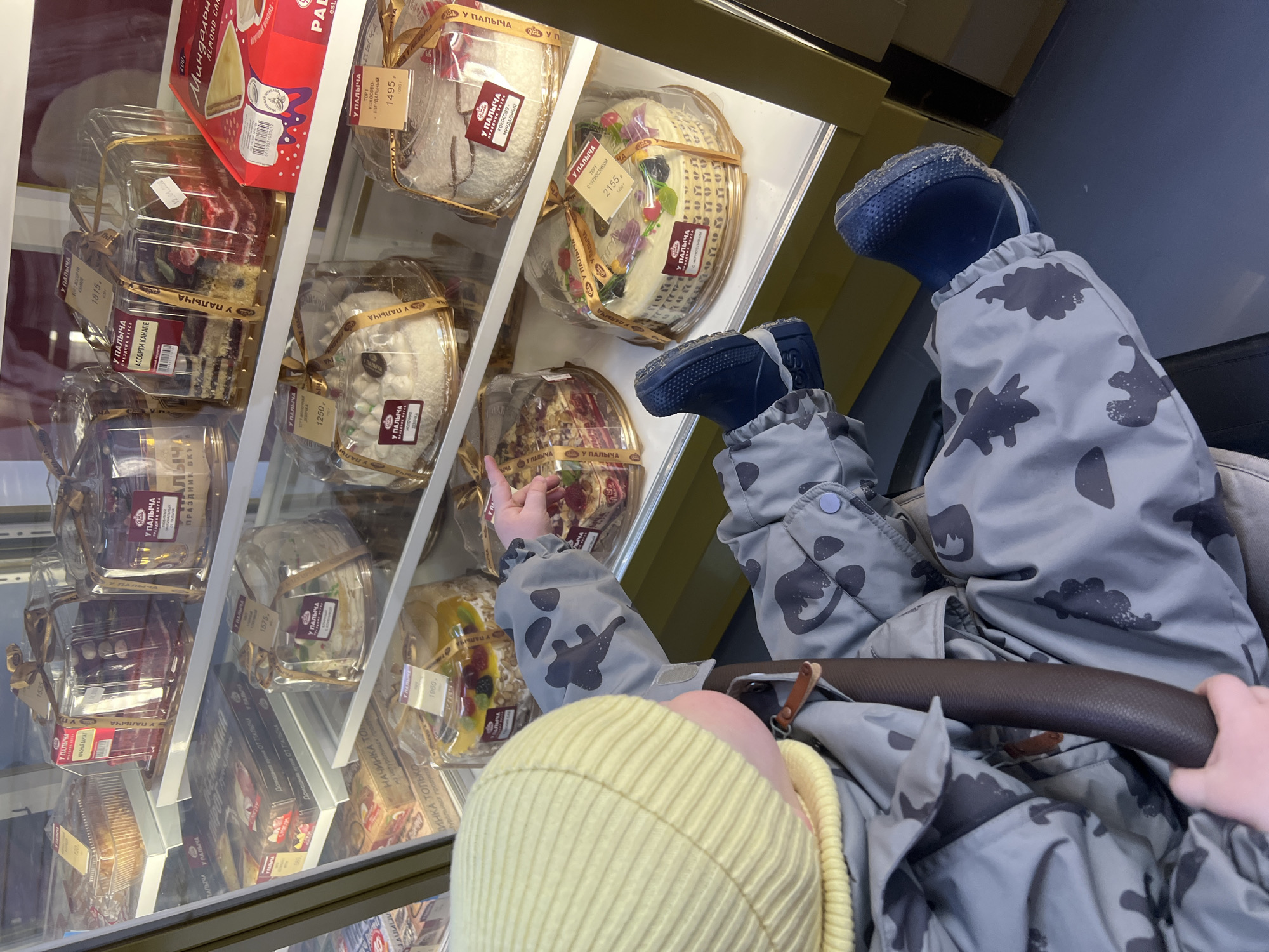 The image shows a child in a stroller looking at a refrigerated display case filled with cakes and pastries. The child is wearing a yellow hat, a gray camouflage-patterned jacket and pants, and blue boots. The child's right arm is extended toward the display case. The display case contains a variety of cakes and pastries in clear plastic packaging, with labels written in Russian, including "У Палыча," which indicates that these desserts are sold by the Russian Confectionary Chain "У Палыча". Prices are visible on some of the labels. The location may be a grocery store in Khimki, Russia, based on the branding and language on the labels. The background is a muted blue wall. The child is the primary subject, engaging with the displayed cakes.