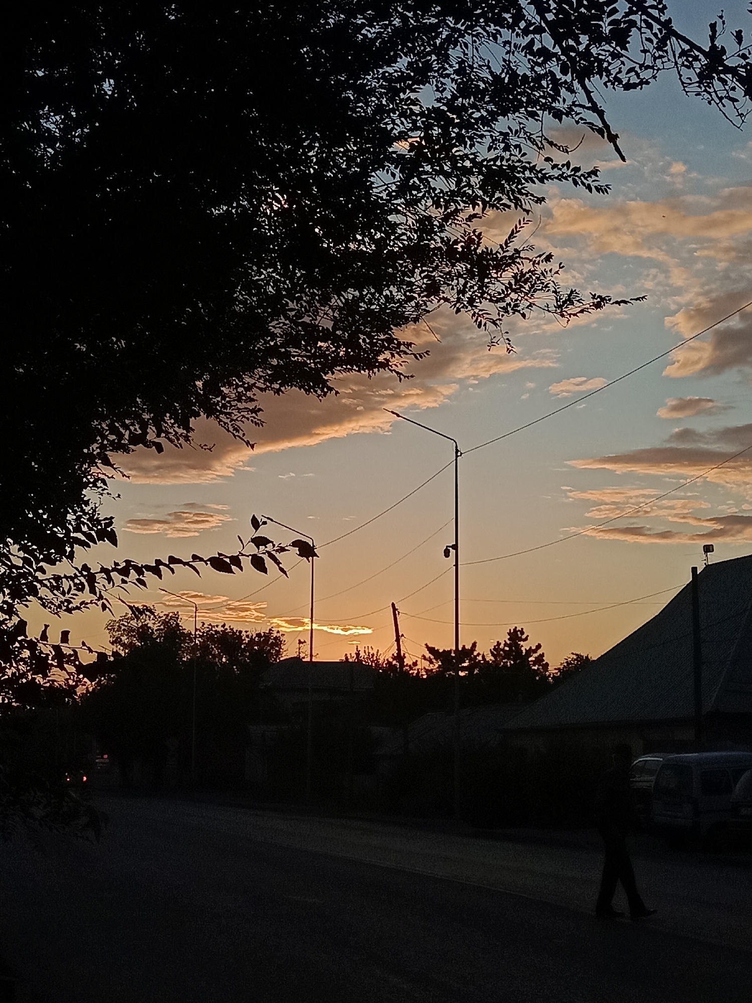 A silhouette of a large tree with dark leaves dominates the left side of the frame against a sky with soft, pink and pale blue clouds. The setting sun is visible between the branches of the tree, casting an orange glow. The sky transitions from a bright orange near the horizon to a pale blue at the top. Power lines crisscross the sky, with a street lamp visible on the right side. Below the tree line, the dark silhouettes of houses, trees, and a street are visible. A street light is positioned prominently in the middle ground. In the foreground, a dark asphalt road stretches into the distance. On the right side of the road, the silhouette of a person walking from right to left is visible, with several parked vehicles behind them. The overall impression is a twilight scene in a residential area, possibly in Shymkent, Kazakhstan, given the architectural style of the houses and the surrounding vegetation.