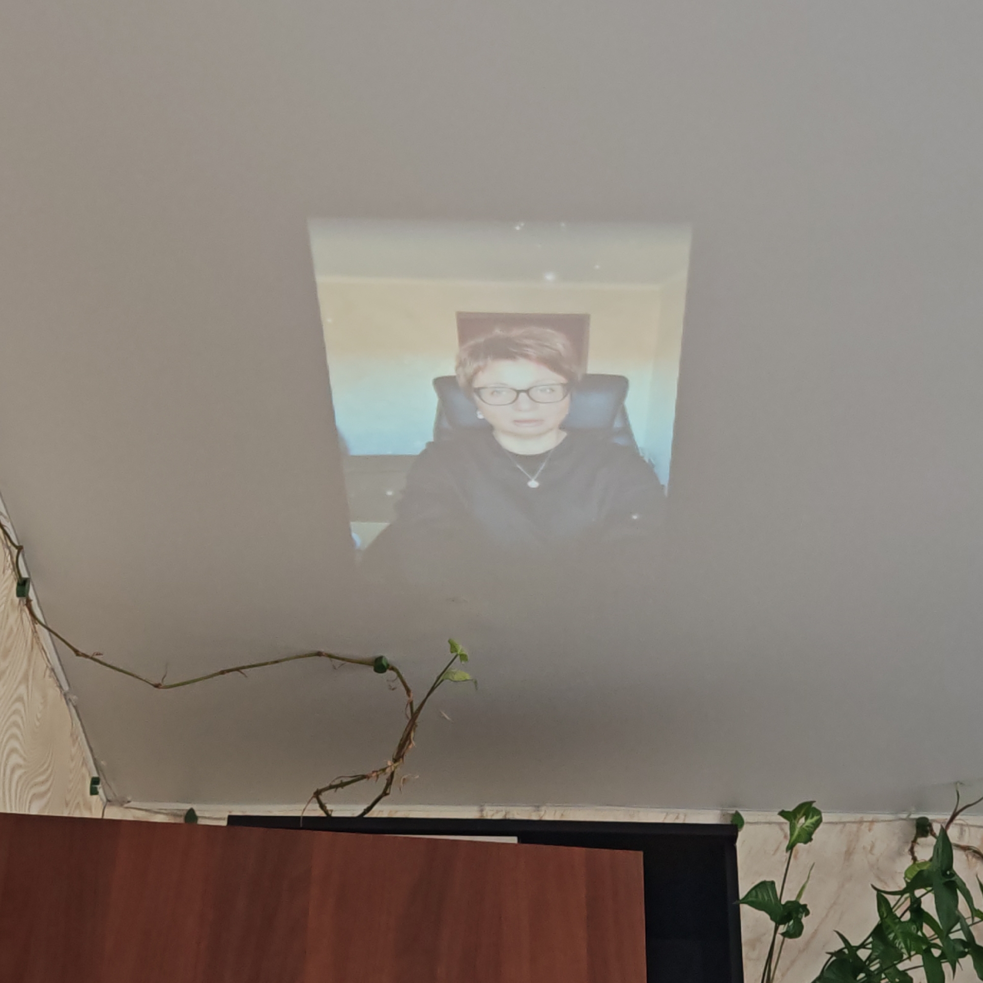 The image depicts a projection on a white ceiling. The projection is a woman with short, brown hair, glasses, wearing a black shirt and a necklace. She is seated in a black office chair. The background of the projection appears to be a room with a desk or cabinet behind her.
In the foreground of the overall image, below the ceiling, is a dark brown cabinet or dresser. A houseplant with green leaves is on top of the dresser. Another vine is draped along the wall above the dresser. The wall has a wallpaper pattern.
There is no information to indicate the city of Rostov, Russia.