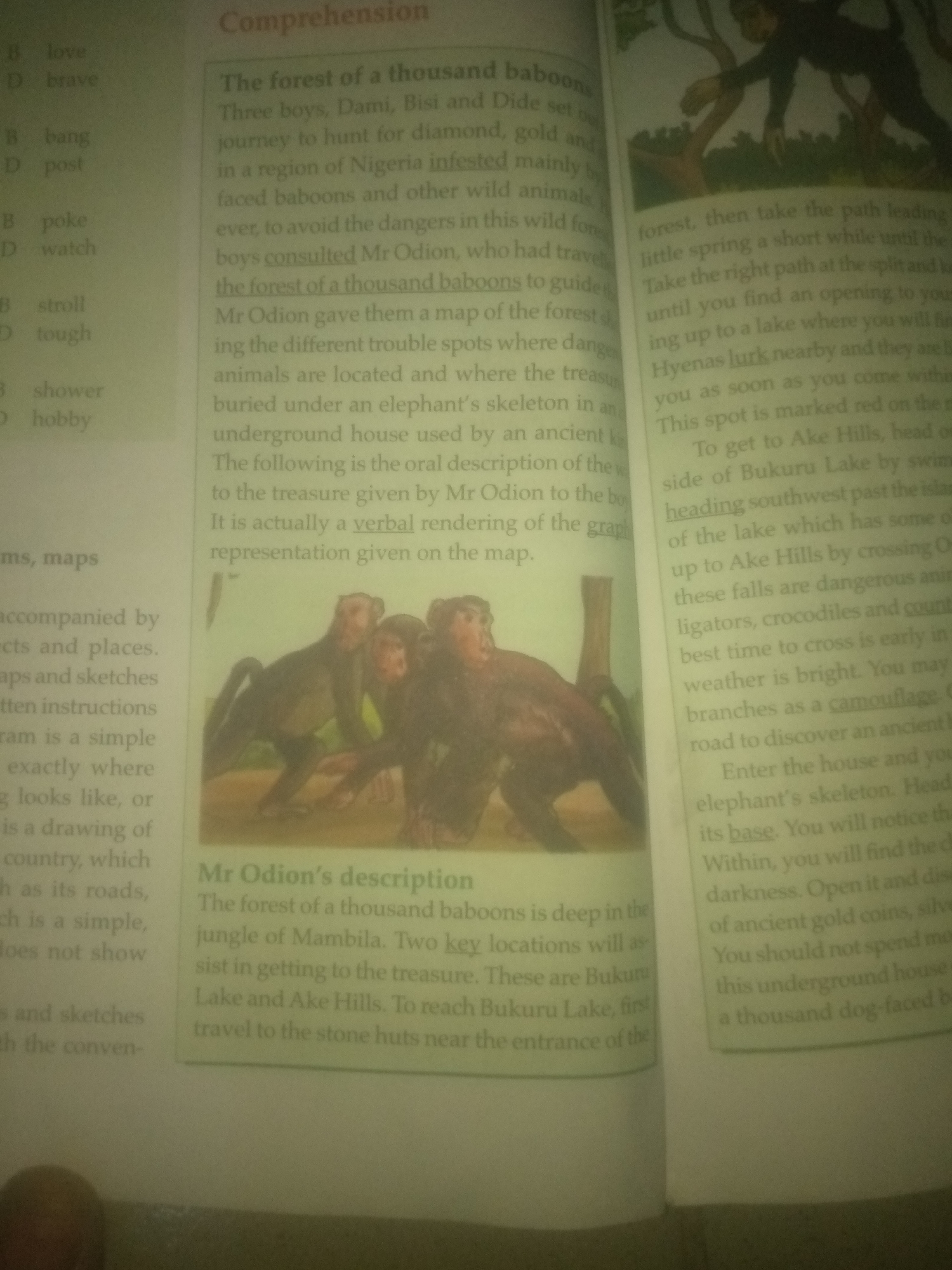The image contains text and a picture. The text discusses a forest of a thousand baboons in Nigeria, with a story about three boys named Dami, Bisi, and Dide. The picture shows three baboons, possibly in a jungle. The text also mentions Jauro Yinu and the city of Bakuru Lake, which are likely locations within Nigeria.