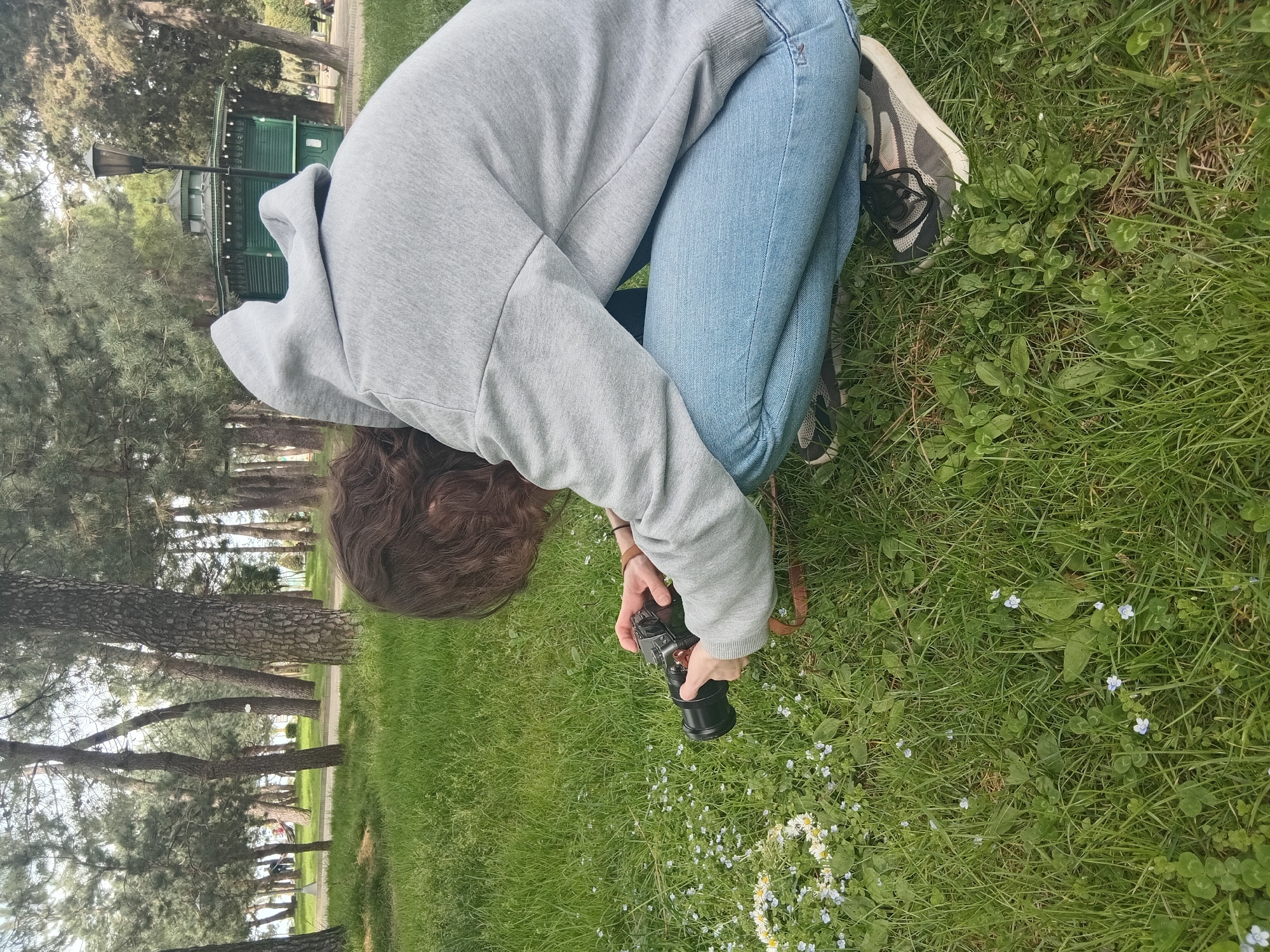A person is kneeling on a grassy area, taking a photograph with a black camera. They are wearing a grey hoodie and blue jeans. Their shoes are grey and black. The location appears to be a park with trees in the background. Based on visual context, the location is likely in the city of Batumi, Georgia. The person is focusing the camera on small white flowers growing in the grass.