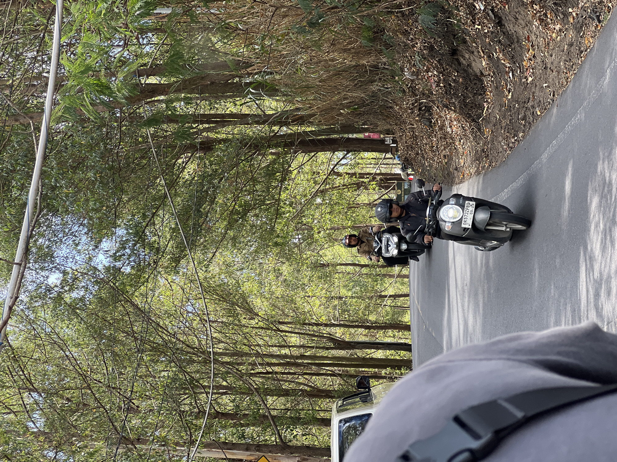 In Kintamani, Indonesia, a scene unfolds on a paved road bordered by a dense forest of tall trees. A light-colored van is parked on the left side of the road, partially visible. In the foreground, a person's shoulder and head are seen from behind, facing away from the camera and suggesting the viewer is also on a vehicle. Further down the road, two individuals are riding scooters. The scooter closest to the foreground has a rider wearing a black jacket and helmet, with a license plate reading "DK5732FB D". The scooter behind them has a rider in a brown jacket and helmet. The trees flanking the road are tall and slender, with lush green foliage, and sunlight filters through the branches, creating dappled shadows on the asphalt. The road itself appears to be winding, disappearing into the distance. The ground on the right side of the road is covered with dry leaves and vegetation. The sky is visible through the tree canopy, appearing clear and blue.