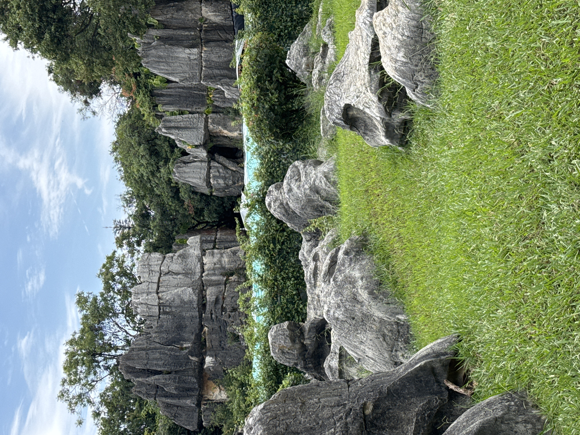 The image depicts the Stone Forest National Park in Kunming, China. The foreground is dominated by a lush green lawn with several large, weathered grey limestone rocks scattered across it. In the middle ground, a dense hedge of green bushes separates the lawn from a light blue body of water, possibly a pool or a decorative water feature. Behind the bushes, a dramatic landscape of towering, intricately shaped limestone karst formations rises. These formations are tall, sharp, and layered, with deep crevices and overhangs, creating a natural fortress-like appearance. Green trees and foliage are visible interspersed among and behind the stone formations, extending towards the sky. The sky above is a pale blue with scattered wispy white clouds, suggesting a bright but possibly overcast day. No people are visible in the scene.