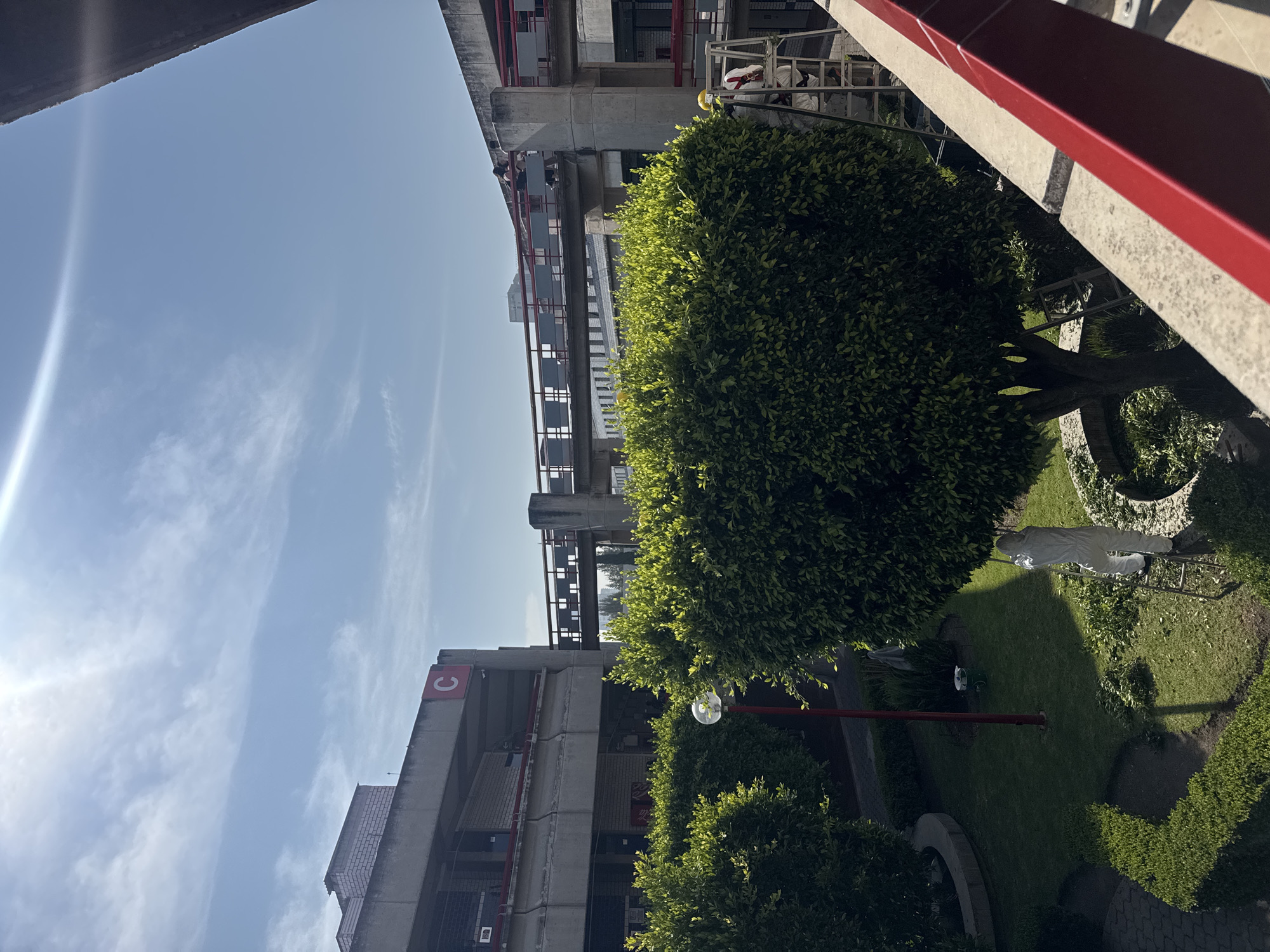 This vertical-format image presents an outdoor architectural scene in San Bernardino Tlaxcalancingo, Mexico, under bright daylight. The clear blue sky, with a few wispy white clouds and a prominent sun glare in the upper left, indicates fair weather.
The scene is dominated by modern concrete buildings featuring red railings and metal pedestrian bridges or walkways connecting different structures. On the upper right, two individuals, possibly construction or maintenance workers, are visible on a scaffolding structure; one wears a yellow hard hat. Another person can be seen on a balcony further to the left.
The lower half and central portion of the image are filled with lush green vegetation, including large, round-shaped trees and manicured bushes, suggesting a well-maintained garden or campus landscaping. A grassy area, a paved path, and a white, humanoid mannequin or statue standing on a small ladder are visible within this garden space. A red pole, possibly part of a light fixture, also emerges from the greenery.
Notable details include the robust, functional design of the concrete buildings and the strong shadows cast by the bright sun. A red "C" logo is visible on the side of one of the buildings on the left. The overall impression is that of a functional, possibly institutional or educational, complex with ongoing activity.