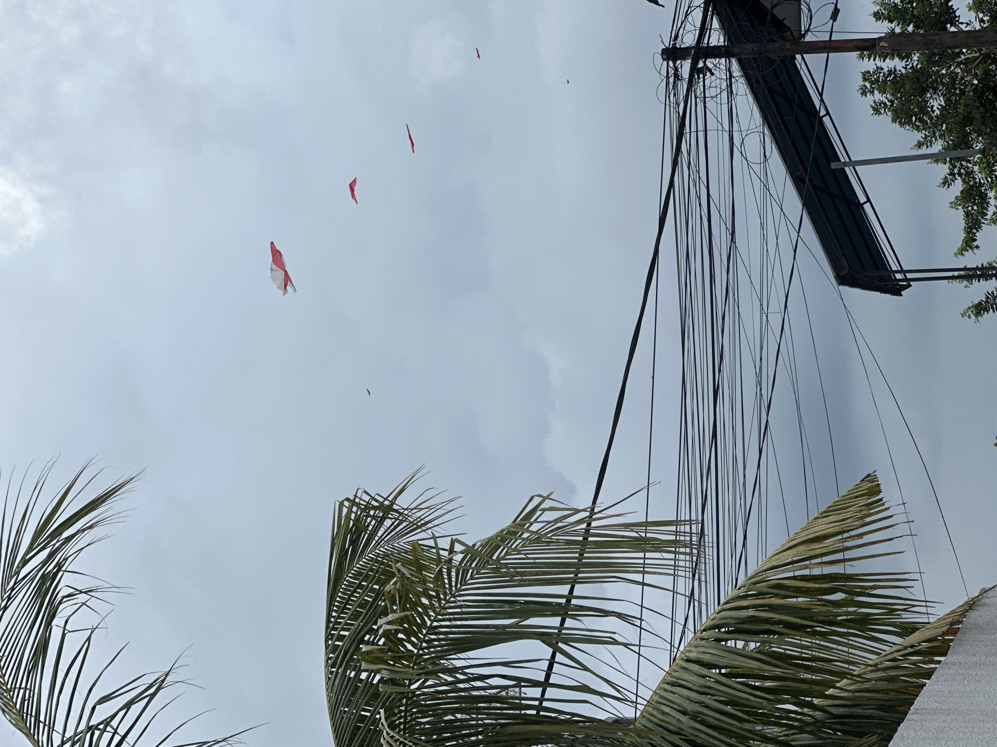 The image shows a view looking upward, likely in Dalung, Indonesia, given the context. In the foreground are fronds of a palm tree. In the background is an overcast sky with several small red kites or banners. Electrical wires and utility poles are visible on the right side of the frame, along with part of a commercial structure. There are no people visible.