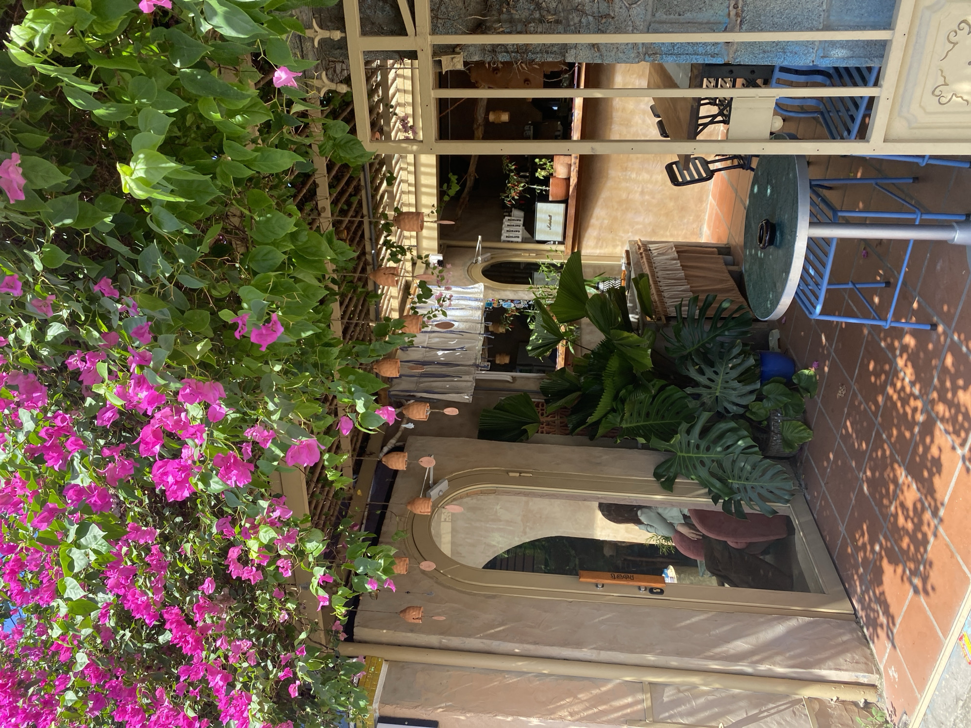 This image captures a charming outdoor seating area at a cafe or restaurant in Mũi Né, Vietnam. The scene is bathed in sunlight, casting dappled shadows on the terracotta tiled floor. Lush green foliage and vibrant pink bougainvillea flowers cascade from above, creating a natural canopy.
In the foreground, a small round table with a dark green surface is supported by light blue, slatted legs. An ashtray rests on the table. Two light blue, slatted chairs are positioned around the table.
To the left, an arched doorway with a tan frame leads into an interior space. A reflection in the glass door shows a person with dark hair wearing a light blue top and dark pants, seated in a plush, rust-colored armchair.
Behind the table, a counter with a tan-colored surface is visible. On the counter, there are potted plants, including chili peppers, and a vintage Marshall speaker. Several white items, possibly clothing or fabric, are hung on a rack above the counter.
A light-colored metal gate or fence runs along the right side of the image, providing a view into a larger seating area with a long wooden table and dark chairs. The overall impression is one of a relaxed and inviting atmosphere, typical of coastal towns in Vietnam.
