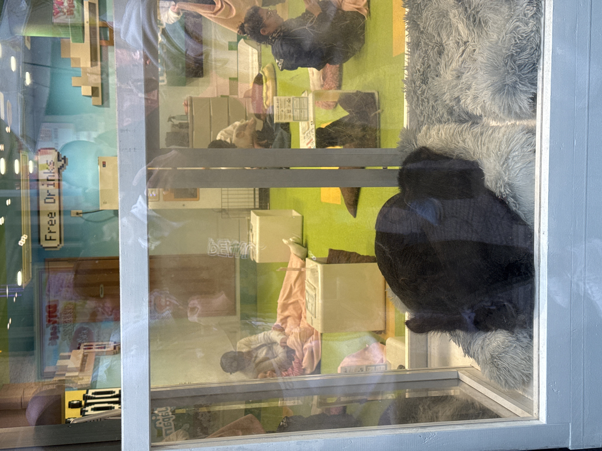 This image, viewed through a window, depicts the interior of a brightly lit room, likely a cafe or lounge, in Shibuya, Japan, with numerous reflections on the glass. The scene is presented sideways and is described as if upright.
Inside, the floor is covered in distinct green and yellow sections. Several people are visible, engaged in relaxed activities. One person with dark hair and glasses is seated on the green floor, wearing a dark top, appearing to look at something in their hands. Another person is lying down, partially covered by a pink blanket, near light-colored boxes that serve as furniture. Other figures are partially visible or obscured by reflections.
On the right side of the frame, a large, fluffy grey faux fur bed is prominent. A dark, rounded form, possibly an animal (like a large dog or cat) or a person curled up, rests on this bed, partially visible behind a window frame.
Notable details include a pixelated white sign hanging on a turquoise wall section, which reads "Free Drinks." Above this sign, reflections show parts of buildings and lights from outside. Another faint, arched white text reads "BEYOND" on a light-colored wall. Further inside, there are modular, block-like shelves or stairs resembling a pixelated structure, and a sign with Japanese text. The multiple layers of reflections make discerning interior details challenging but also show snippets of the bustling street outside. The overall atmosphere appears casual and inviting.