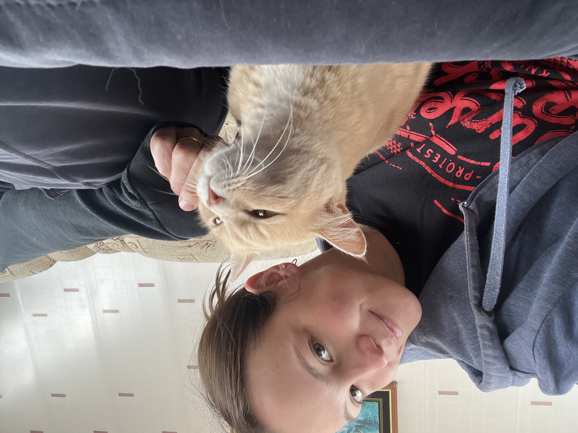A woman and a cat are depicted in an indoor domestic setting, located in Novocheremshansk, Russia. The woman, appearing to be in her late 20s or early 30s with light skin and dark brown hair pulled back, looks directly at the camera with a subtle smile. She wears a blue-gray zippered hooded sweatshirt over a black t-shirt, which displays red graphic text with "PROTEST" clearly visible. A small gold-colored hoop earring is present in her left ear. Her left hand, adorned with a thin gold-colored ring on the ring finger, is gently positioned against the cheek and neck area of a short-haired, light orange (ginger) domestic cat. The cat, with prominent white whiskers and its eyes partially closed, appears relaxed and content, its head tilted slightly upward, indicating enjoyment from being petted.
Both the woman and the cat are situated on a dark gray fabric surface, likely a sofa or a blanket covering a seating area. Behind them, an upholstered sofa in beige with a recurring patterned design is visible. The wall in the background features light-colored wallpaper with a subtle grid texture and scattered small, horizontal, reddish-brown rectangular accents. In the upper right background, a framed piece of art, possibly a landscape, hangs on the wall. The scene is well-lit, suggesting ambient natural light.
