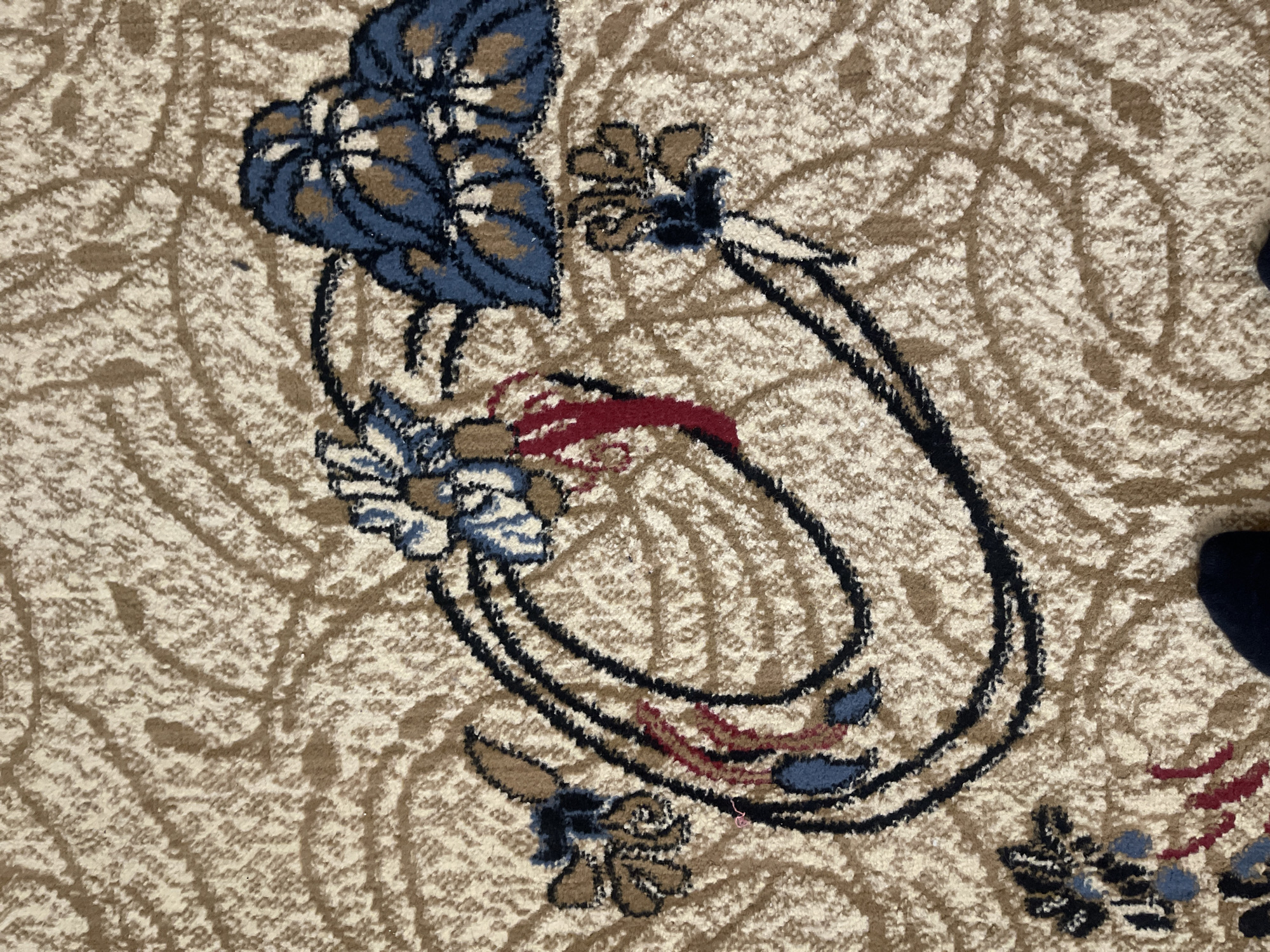 The image shows a close-up, overhead view of a carpet with a floral pattern. The carpet has a beige base with brown swirling lines and stylized blue and brown flowers with black outlines. A portion of a dark blue sock or shoe is visible in the lower right corner of the image, suggesting a person is standing or sitting on the carpet. The setting appears to be indoors, possibly a residential or commercial space, in Bishkek City, Kyrgyzstan.