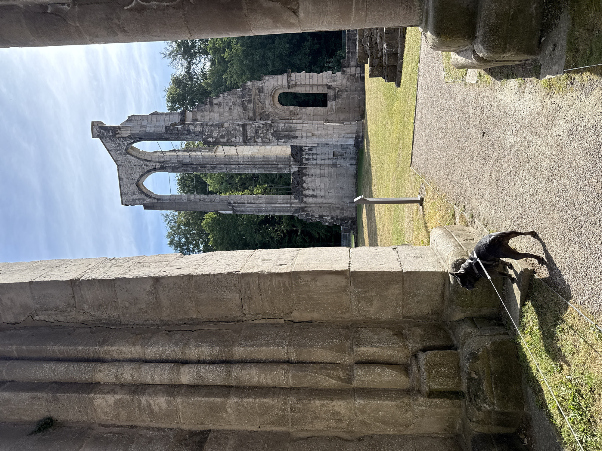 In Walkenried, Germany, the ruins of a cloister stand under a partly cloudy sky. In the foreground, on the left, a large stone column anchors the scene. To the right of this column, a dark-colored dog, likely a French bulldog, is tethered to a leash and stands on a raised stone step, looking towards the right. The dog is wearing a harness. A gravel path extends from the foreground into the middle ground, leading towards the central ruins. The ruins themselves are characterized by tall, weathered stone structures, including archways and partial walls, with greenery visible behind them. The environment consists of grassy areas and trees.