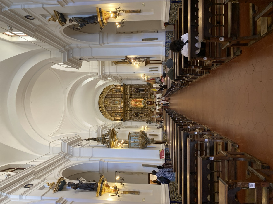 This image depicts the interior of the Basílica y Convento de San Francisco de Asís, located at Calle Alsina 380, Monserrat, Buenos Aires, Argentina. The perspective is from the rear of the nave, looking directly down a long central aisle towards the main altar.
The church features a high, white vaulted ceiling with multiple arches. White pilasters punctuate the side walls, which are adorned with a decorative dado of blue and white patterned ceramic tiles at their base. The central aisle is paved with terracotta-colored hexagonal tiles. Rows of dark wooden pews line both sides of the aisle, many featuring small white QR code stickers on their ends.
At the far end, the sanctuary is dominated by a large, elaborate, multi-tiered Baroque-style golden retablo (altarpiece), intricately carved and containing multiple niches with religious sculptures. To the right of the altar, several flags are displayed. On the left side of the nave, a prominent, elaborately carved golden pulpit with a light blue base is attached to a pillar. Above the pulpit and at various points along both side walls, statues of Franciscan friars are mounted on ornate golden corbels, illuminated by multi-armed wall sconces with electric candle-like bulbs. A crucifix is visible on the right wall further towards the altar.
Approximately 10 to 15 individuals are present within the nave. A group of five to seven people, mostly adults, are either standing or walking in the central aisle closer to the altar. Several others are seated in the wooden pews, facing the altar; this includes a woman with dark hair in a white top seated in the foreground on the right, and two men seated further back on the right. Two individuals, one in a plaid shirt carrying a dark backpack, are partially visible standing near the pews on the left. The scene is well-lit, indicating a daytime setting.