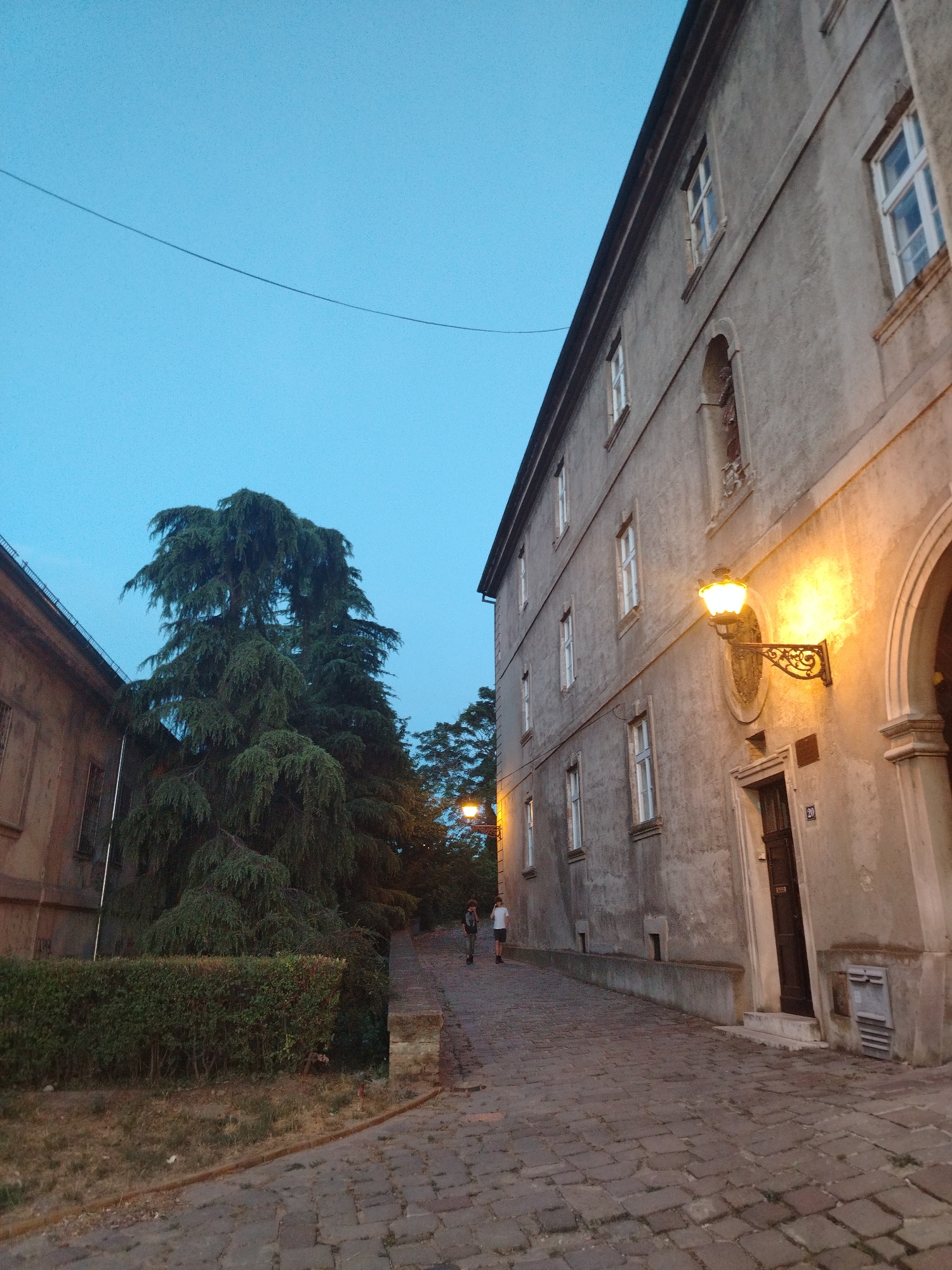 The image captures a view of a cobblestone path leading uphill alongside a weathered, multi-story building on the right, likely a historical structure in Petrovaradin, Serbia. The building's facade is a muted gray, punctuated by evenly spaced windows, some of which are illuminated from within. A prominent, ornate streetlamp with a warm yellow glow is mounted on the building's exterior.
To the left of the path, a meticulously trimmed green hedge runs along the edge of a grassy area. Beyond the hedge, a large, dense conifer tree with drooping branches dominates the mid-ground. Another, smaller tree with a visible streetlamp is seen further up the path on the right.
The sky above is a clear, twilight blue, with a thin, dark wire stretching diagonally across the upper portion of the frame. Two individuals are walking up the path, one in front of the other. The person further ahead appears to be wearing a backpack, while the one behind is in a white t-shirt and dark shorts. The lighting suggests it is either early morning or late evening. The cobblestone pavement is well-worn, indicating regular use. The scene conveys a sense of quiet urban ambiance in a historic setting.