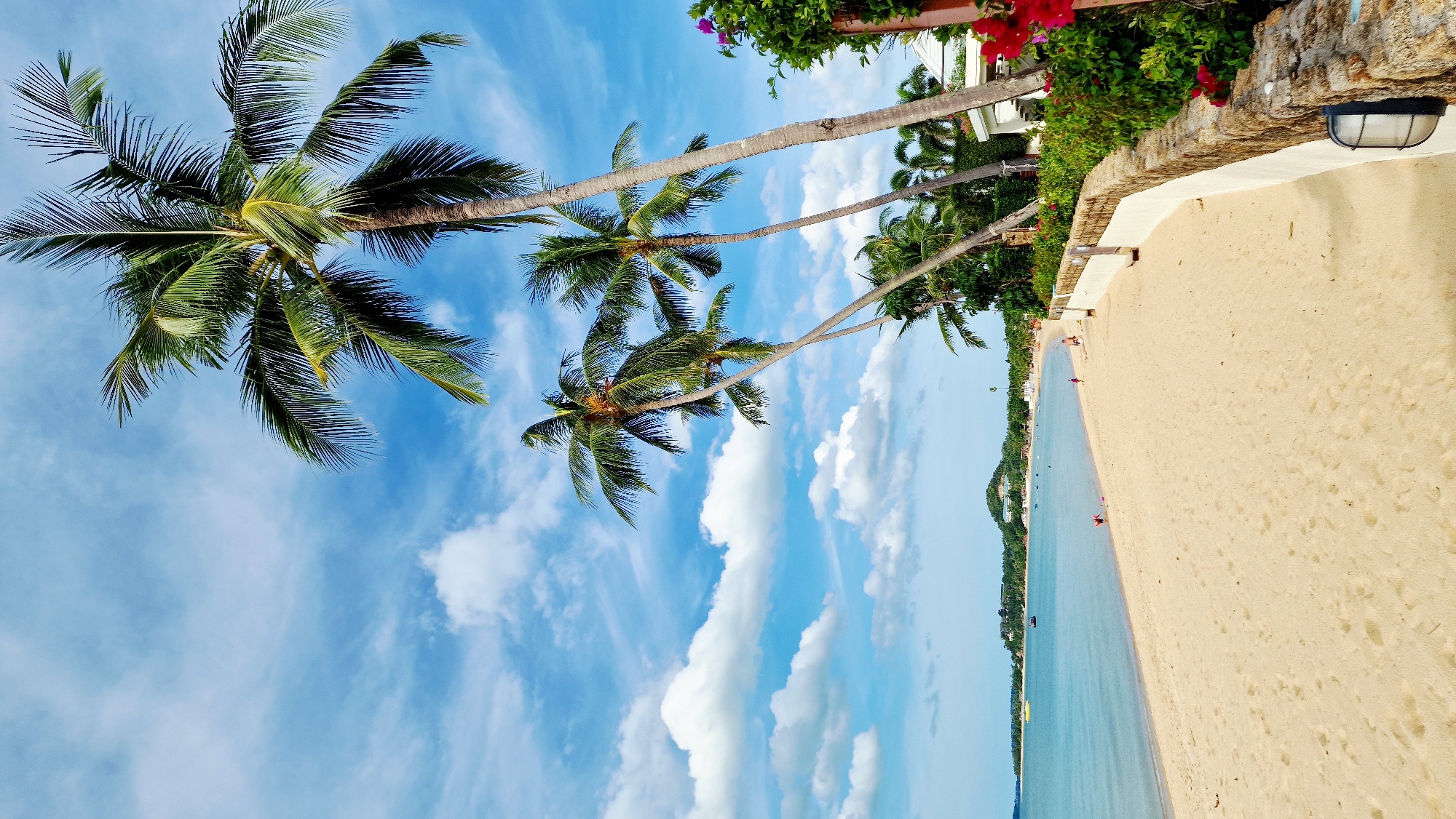 This image depicts a panoramic view of a tropical beach scene in Baan Mae Nam, Thailand. The sky, occupying the upper two-thirds of the frame, is a clear cerulean blue with scattered white cumulus clouds, more concentrated towards the horizon on the left, and wispy cirrus clouds overhead.
Multiple tall palm trees with green fronds are prominent on the right side of the image, two of which lean distinctly towards the left. Below the palm trees, a wide expanse of light golden-tan sand forms the beach, curving gently from the bottom left towards the right. The sand exhibits minimal footprints and a smooth texture.
The tranquil ocean, displaying shades of light turquoise to cerulean blue, meets the sand with gentle ripples. In the mid-ground of the ocean, several boats are visible; one yellow inflatable boat is situated on the far left, with smaller dark vessels scattered along the distant horizon.
Along the right side of the beach, a low, curved stone wall with a white concrete base separates the sand from an elevated area. Lush green foliage, interspersed with vibrant red and purple flowering plants (consistent with bougainvillea), grows along the top of this wall. A black outdoor wall lamp is affixed to the white section of the wall in the bottom right corner.
Several small human figures are sparsely distributed on the beach. Two individuals, one appearing to be a child, are near the water's edge on the left. Further right, a single person stands on the sand, and another is seated or lying near the wall.
In the background, across the bay, verdant hills rise, topped with scattered white buildings. White resort-style structures with red roofs are partially visible among the palm trees on the right side of the image. The scene is illuminated by bright daylight, suggesting a clear, sunny day.