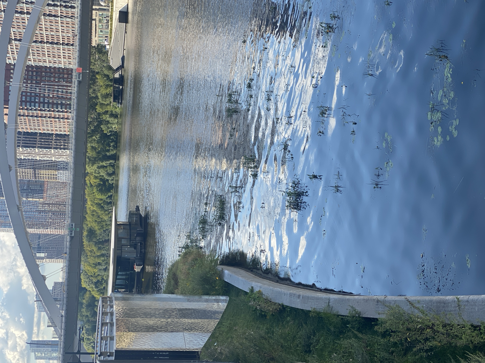 A wide-angle, eye-level outdoor shot captures a body of water with a modern architectural scene in the background. In the foreground, a concrete embankment lines the left side of the frame, covered in lush green grass and vegetation. The water is calm, with ripples reflecting the sky and clouds. Scattered aquatic plants, including lily pads, dot the surface of the water. A dark, rectangular houseboat with a flat roof is moored on the water, closer to the embankment on the left. Beyond the water, a dense line of green trees forms a natural barrier. In the background, a large, arched pedestrian bridge spans the river, with a street or roadway running across it. Behind the bridge, a cluster of tall, modern buildings with repeating window patterns dominates the skyline. The sky is partly cloudy, with patches of blue visible.