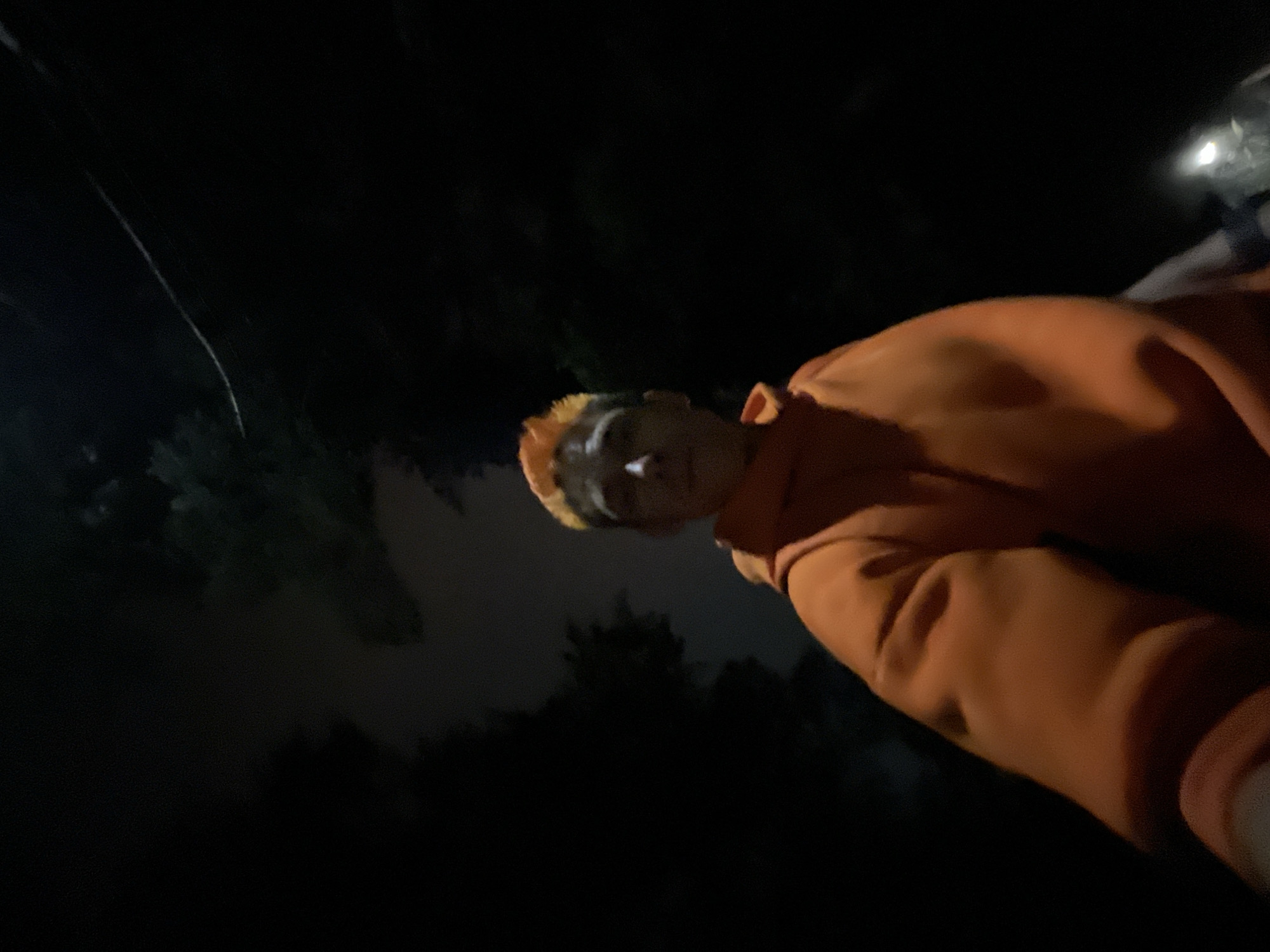 The image displays a person, likely male, with short, bright orange, spiky hair, wearing a loose-fitting orange hooded sweatshirt. The individual is positioned centrally in a low-angle, close-up shot, facing the camera directly, suggesting a selfie. The scene is dark, indicating nighttime or extremely low-light conditions. The background consists of indistinct, blurred dark shapes consistent with dense foliage or trees on the left and central-left. A faint, diffuse light source is visible in the lower right quadrant of the frame, and a thin, light-colored diagonal line, possibly a utility wire or similar linear object, traverses the upper right background. The environment appears to be an unidentifiable outdoor area such as a park or wooded path.