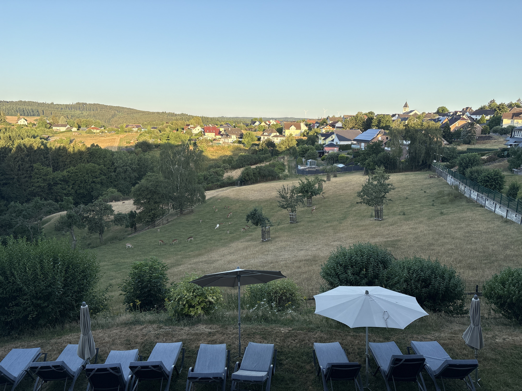 The image depicts a panoramic view of the town of Wershofen, Germany, at dusk. In the foreground, several empty lounge chairs and two open umbrellas suggest a recreational area, possibly a terrace or garden. Beyond this, a grassy hill slopes down towards a wooded valley. Several deer are visible grazing on the hillside, and a white bird is also present. In the middle ground, a cluster of houses with red-tiled roofs forms a village. The background features a wider landscape of rolling hills, more trees, and distant windmills. The sky is clear and a pale blue, indicating the late hour of the day. The overall scene conveys a sense of peaceful rural tranquility.
