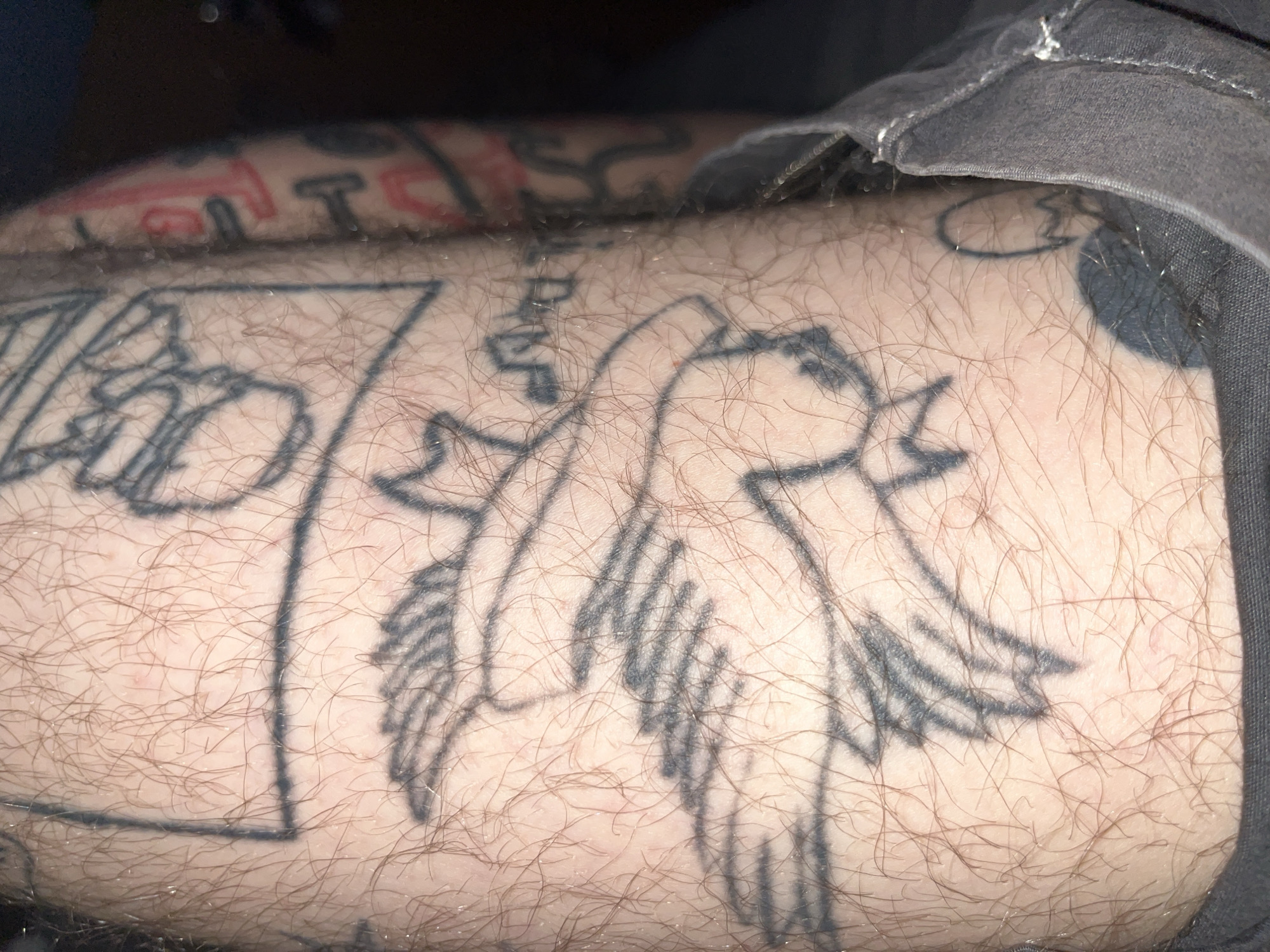 A close-up, high-angle, full-body shot shows a person's leg covered in tattoos. The main tattoo is of a bird in flight with its wings spread. Other tattoos visible include abstract shapes and what appears to be lettering. The skin is covered in light brown hair. The person is wearing gray pants. The background is dark and out of focus, suggesting an indoor environment.