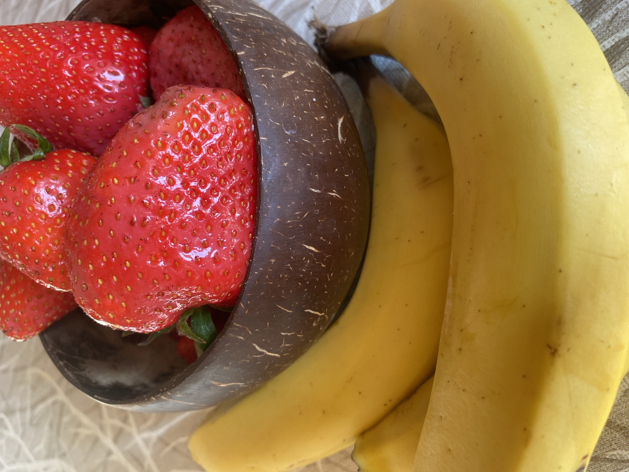 The image shows a still life of fruit on a textured surface. A coconut shell bowl is filled with several bright red strawberries. Next to the bowl are three ripe yellow bananas. The image is brightly lit and appears to have been taken indoors. There is no information about the location in the city of Landau in der Pfalz, Germany.