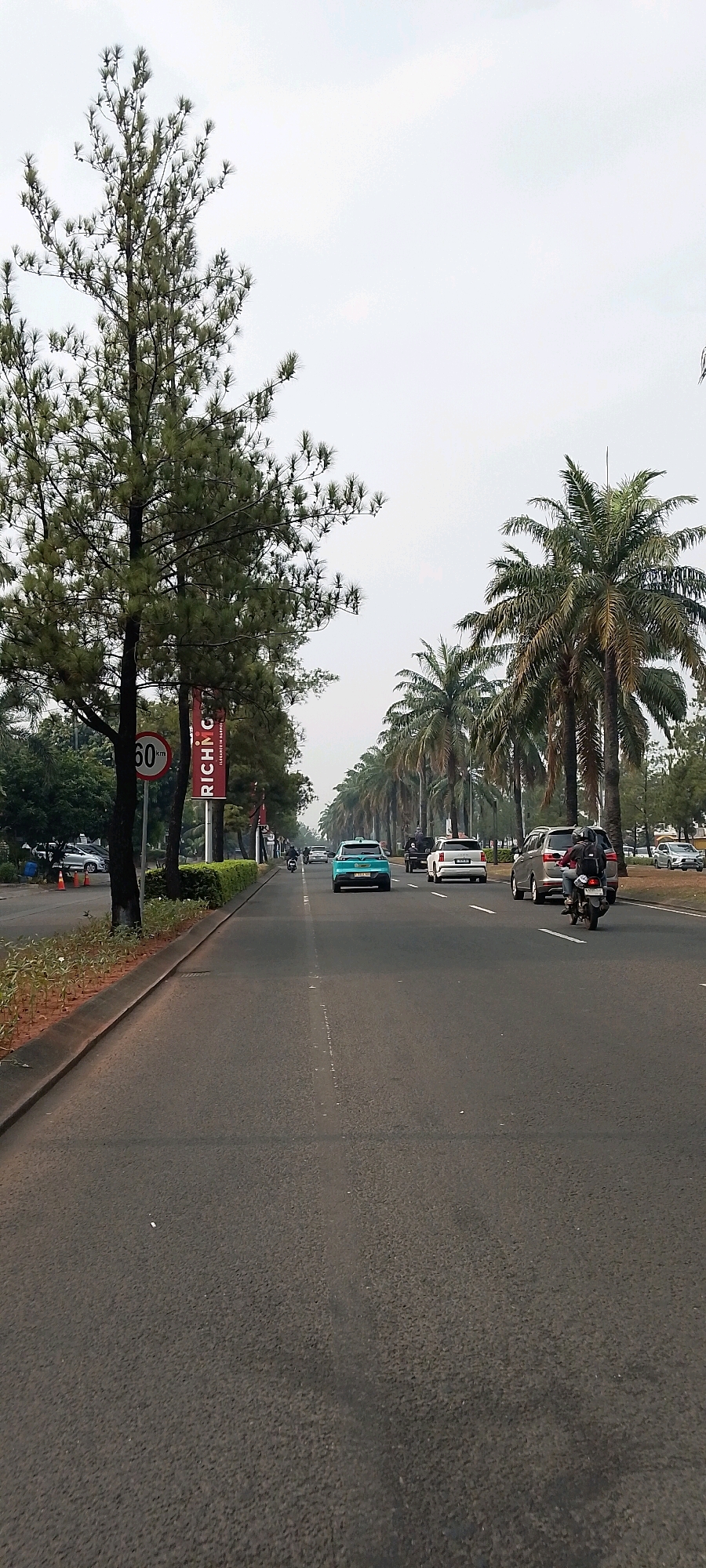 The image depicts a straight, multi-lane asphalt road in Gunung Putri, Indonesia, lined with palm trees and other vegetation. The sky is overcast. In the foreground, on the left side of the road, a tall pine tree stands beside a speed limit sign indicating 60 km/h. A red banner with white text, possibly advertising, is also visible. The road is populated by several vehicles, including a light blue car in the middle lane, a silver SUV, a white SUV, and a motorcycle with a rider wearing a backpack. Traffic appears to be moderate, with vehicles moving in the same direction. On the right side of the road, a row of palm trees extends into the distance. The overall impression is of a suburban or semi-urban environment on a cloudy day.