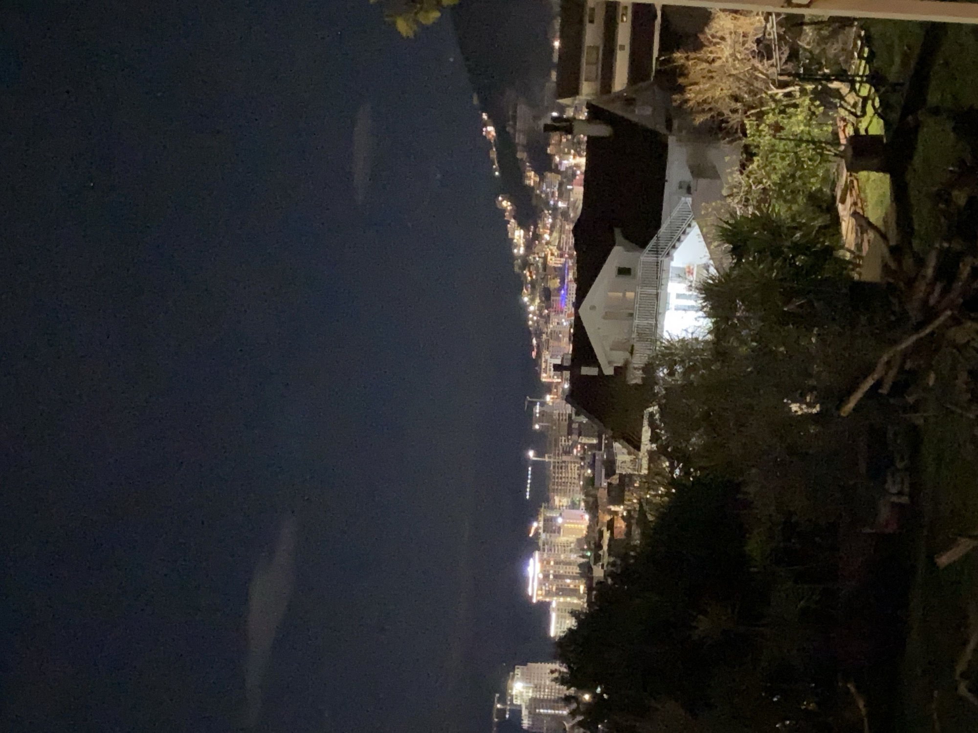 This nighttime shot captures Budva, Montenegro, from an elevated perspective. The city's lights twinkle along the coastline, contrasting with the dark sea and sky. Buildings with illuminated windows and streets form the urban landscape, punctuated by the occasional taller structure. In the foreground, vegetation, including trees and foliage, frames the view, partially obscuring the city. The architecture suggests a mix of residential and commercial structures.