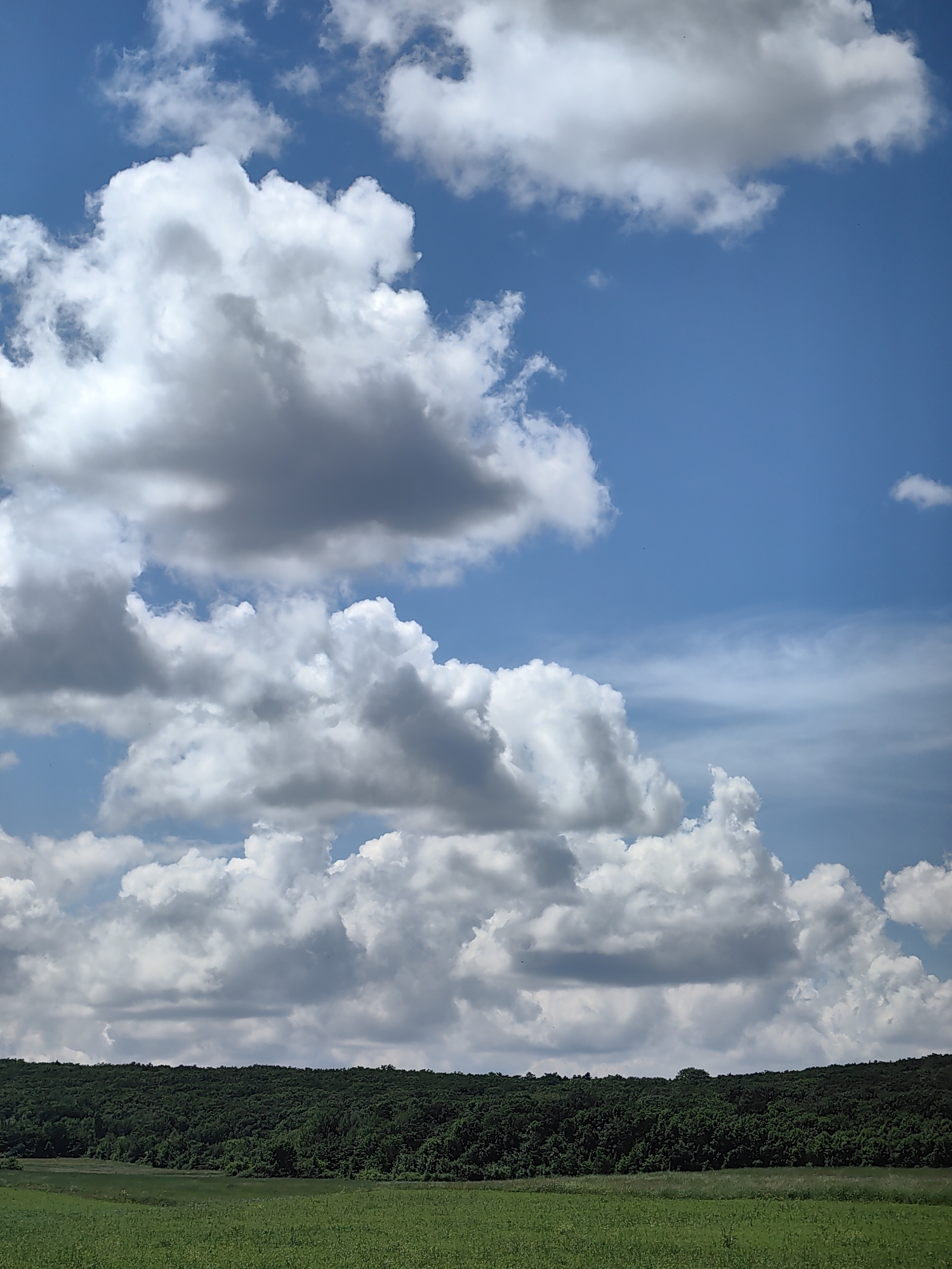 The image depicts a landscape scene under a bright blue sky filled with large, fluffy white and gray clouds. In the foreground, a vibrant green field stretches horizontally across the bottom of the frame. Behind the field, a dense, dark green forest forms a thick band across the middle ground, with the tops of the trees creating a slightly undulating horizon. The upper portion of the image is dominated by the expansive sky and dramatic cloud formations, suggesting a dynamic weather day. There are no people or man-made structures visible in the image. The scene appears to be a rural or natural environment.