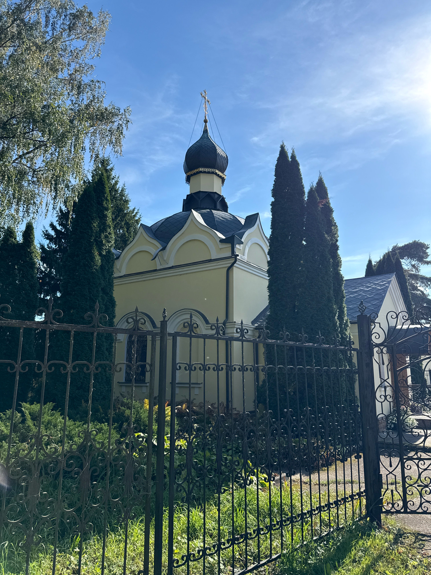 The image shows a light yellow building with a dark dome and a cross on top, likely a church or chapel, located in Zvenigorod, Russia. It is partially obscured by a black wrought-iron fence in the foreground. Tall, dark green cypress trees are visible on either side of the building, and a large deciduous tree with light green foliage is on the left. The sky is a clear blue with some wispy clouds, and the sun is shining brightly, creating lens flare on the right side of the image. Green grass and various shrubs grow in front of the fence.