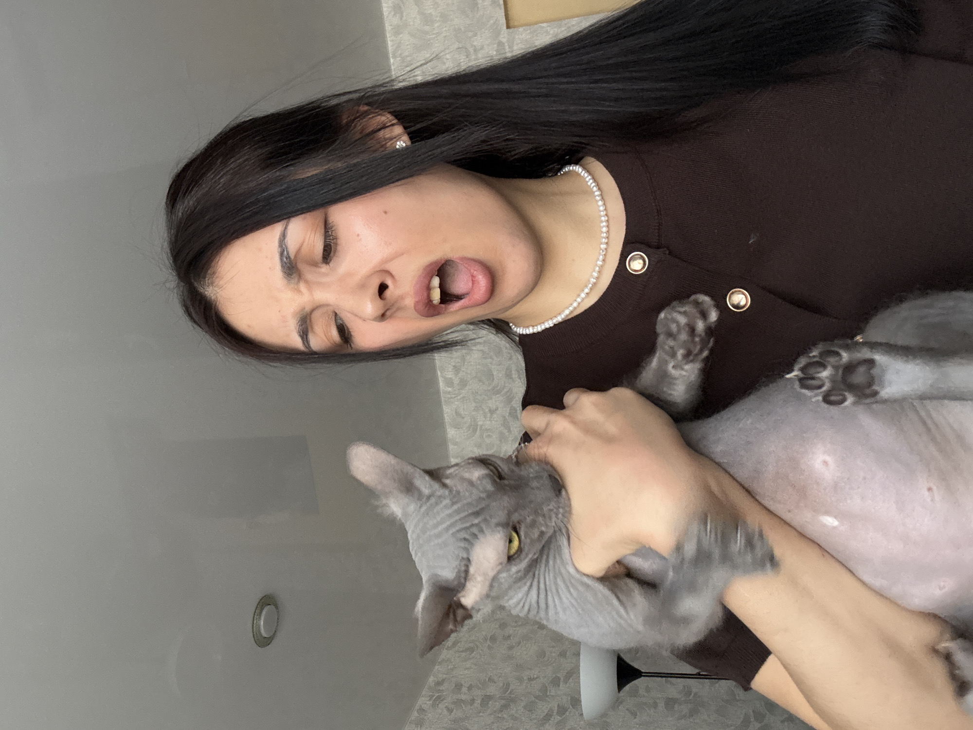 A woman with long, dark hair is holding a gray Sphynx cat. She is wearing a brown cardigan with gold buttons and a pearl necklace. Her face is contorted in an expression of exaggerated disgust or annoyance, mouth open wide. The cat is being held belly-up. The background appears to be a room with a wallpapered wall and a light fixture. The location is unknown and cannot be confirmed as Votkinsk, Russia from this image.