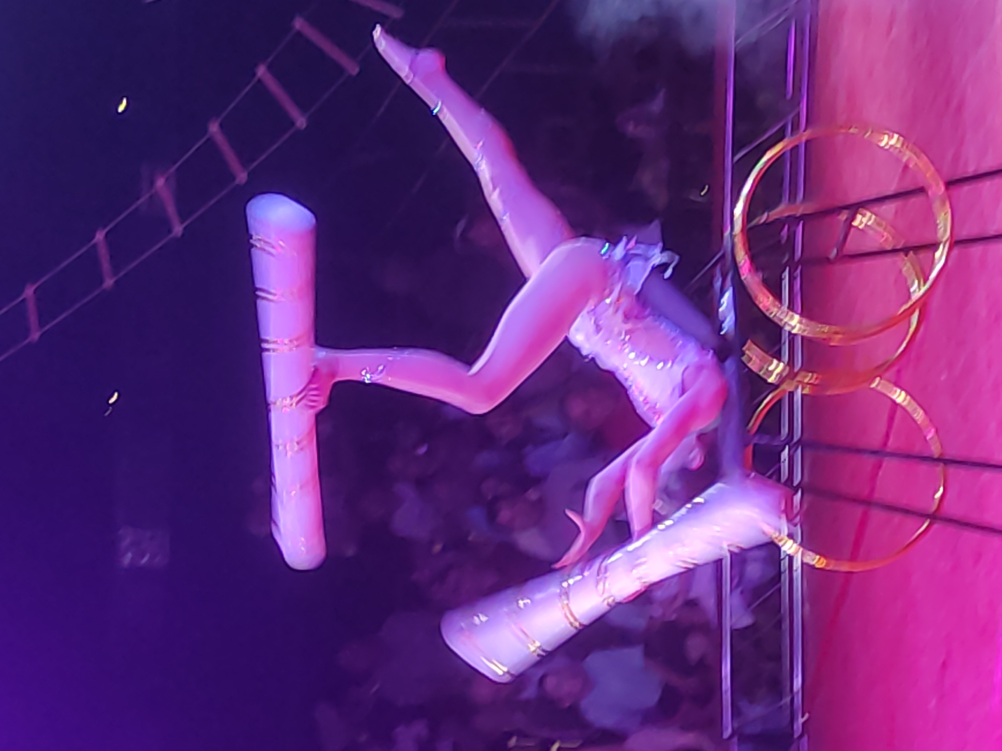 A female acrobat is performing a balancing act on a stage under purple lighting. She is holding a long, cylindrical object above her head with one hand, while her legs are extended in opposite directions. Her body is contorted in a complex pose, supported by her hand and one foot. She is wearing a shimmering, leotard-like costume. Beneath her, two golden hoops are attached to a metal structure. The background is blurred, showing an audience seated in dimly lit rows and a ladder-like structure suspended from above. The overall impression is of a dynamic and skillful circus performance. The image is an indoor shot, possibly taken at a circus tent or theater. There is no specific information in the image to indicate the location in Mahilyow, Belarus.