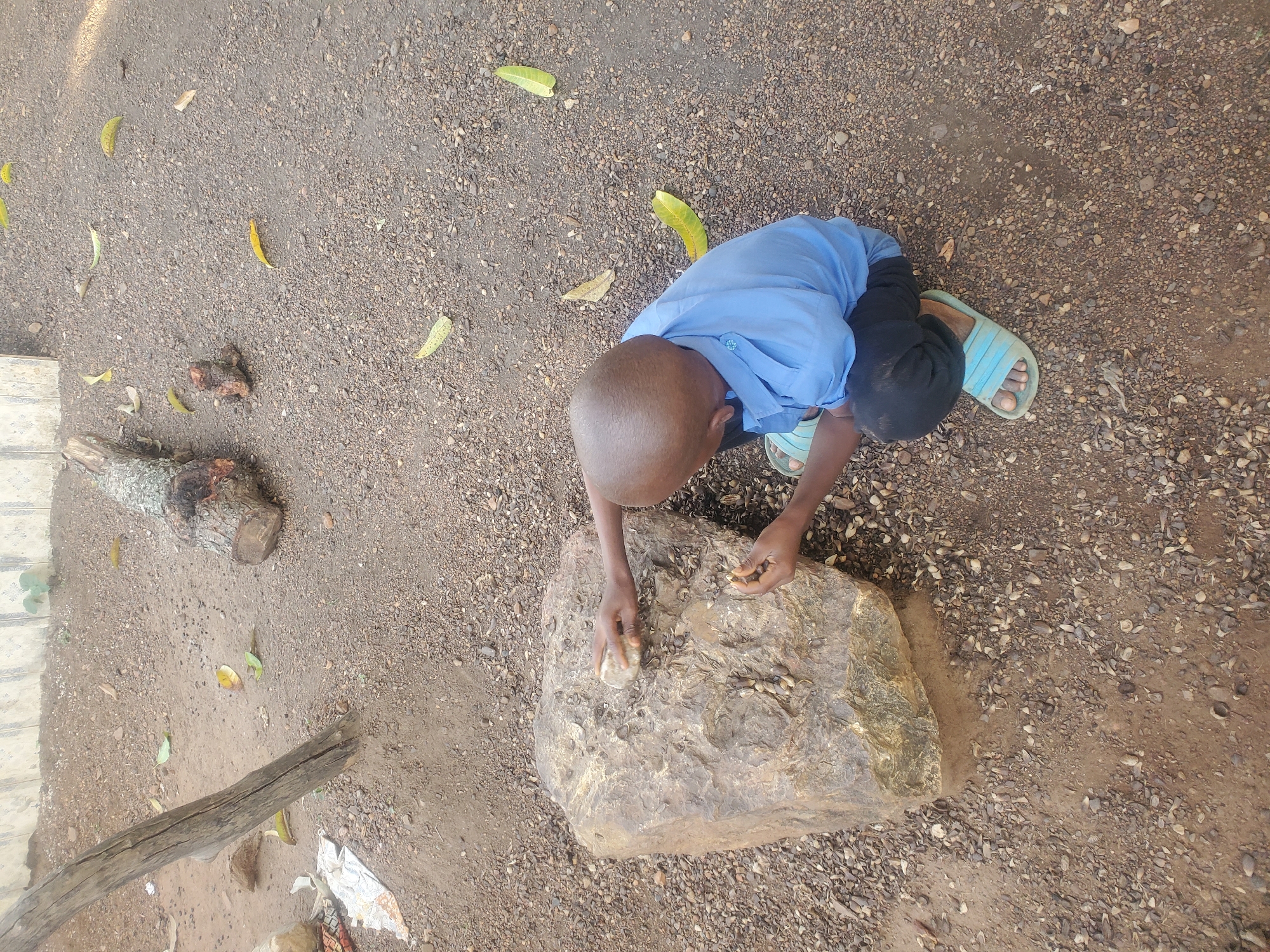 An overhead shot shows a young boy kneeling in a gravelly area, interacting with a large rock. He wears a light blue shirt, dark pants, and light blue sandals. His focus is directed toward the rock, which appears to have various shells or small objects affixed to its surface. The area around him includes fallen leaves, a cut log, and a piece of wood. The location is Akwanga, Nigeria.